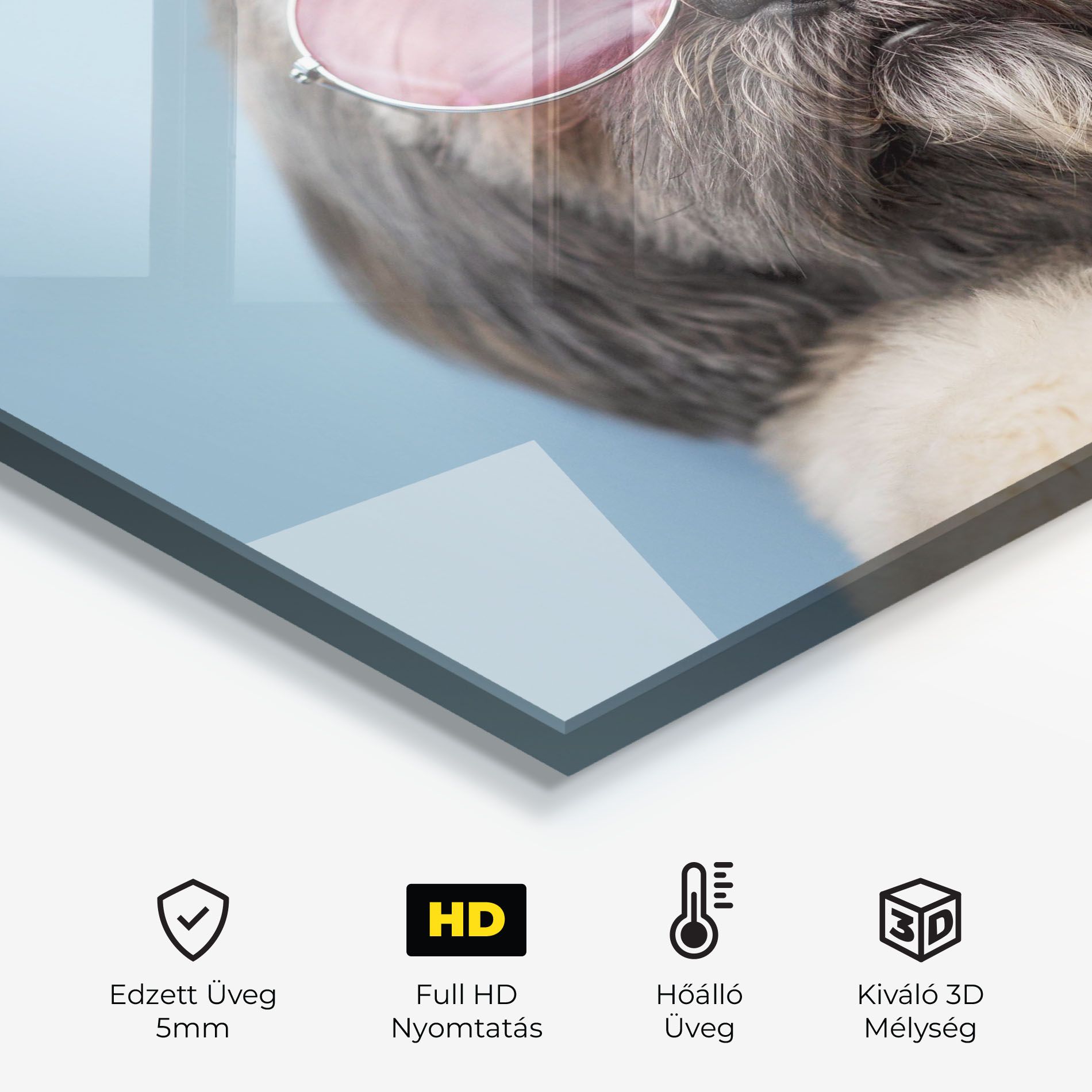 Grey Dog On Blue mockup 2