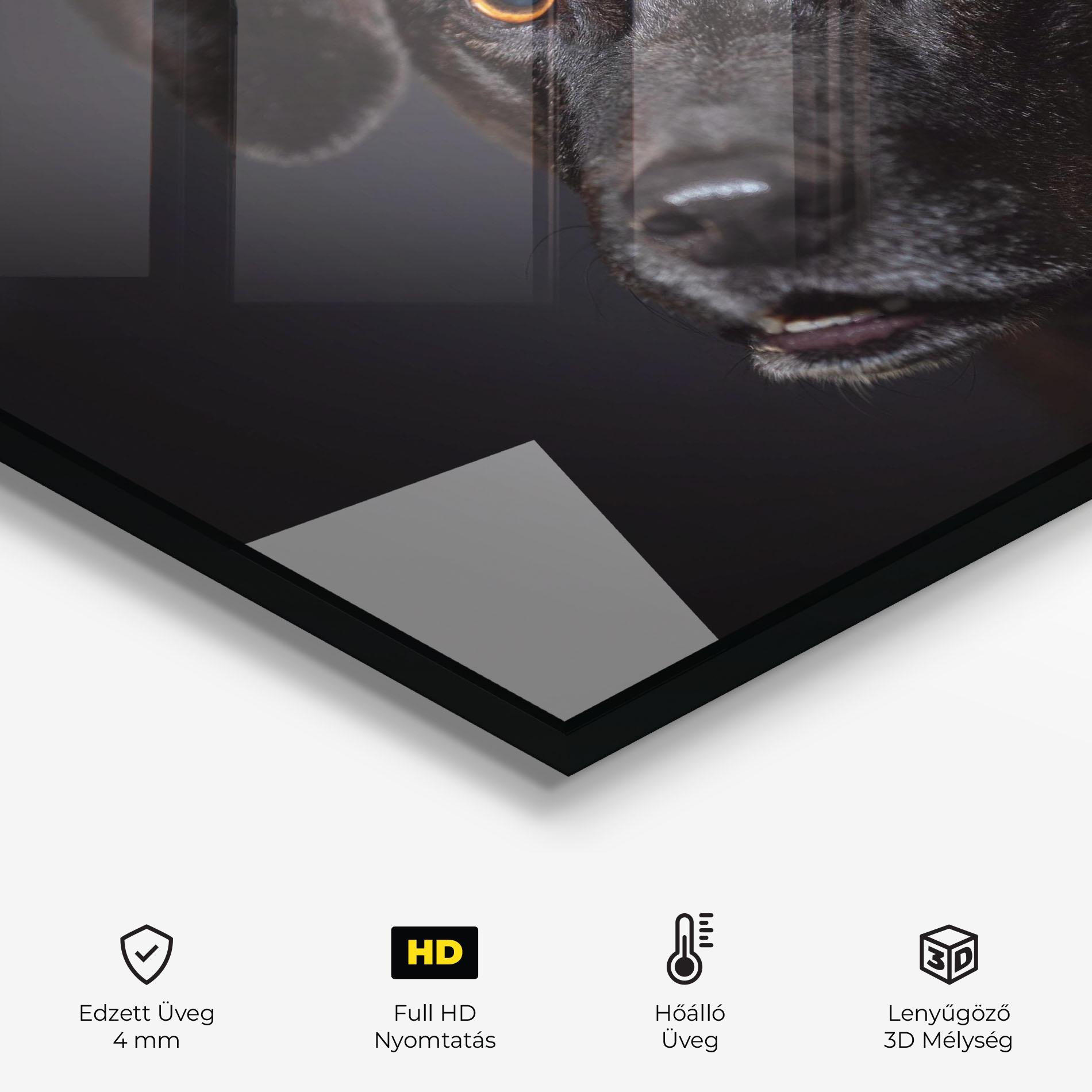 Konyhai üveg hátfal Black Dog Portrait mockup 2