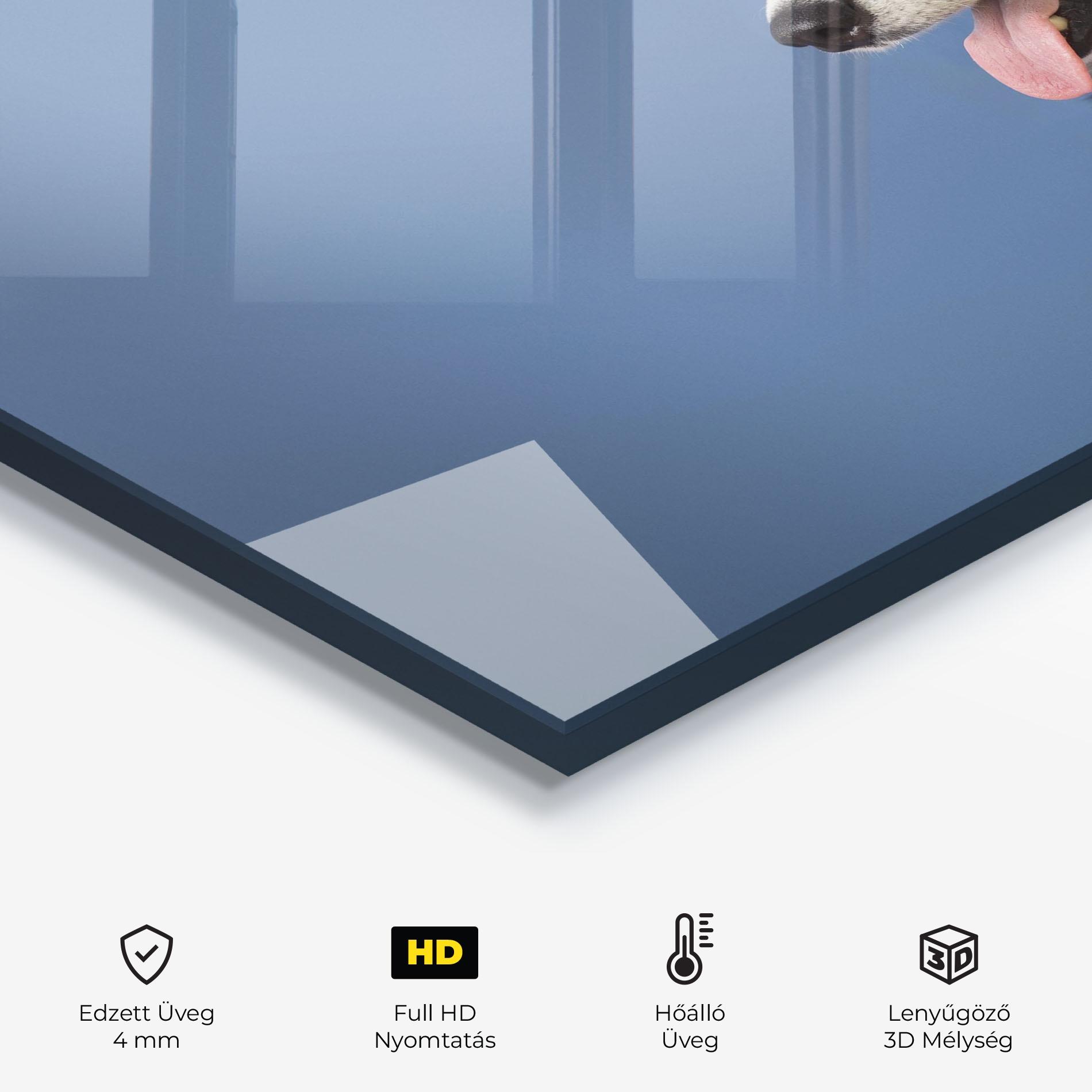 Konyhai üveg hátfal Blue Glasses Dog mockup 2