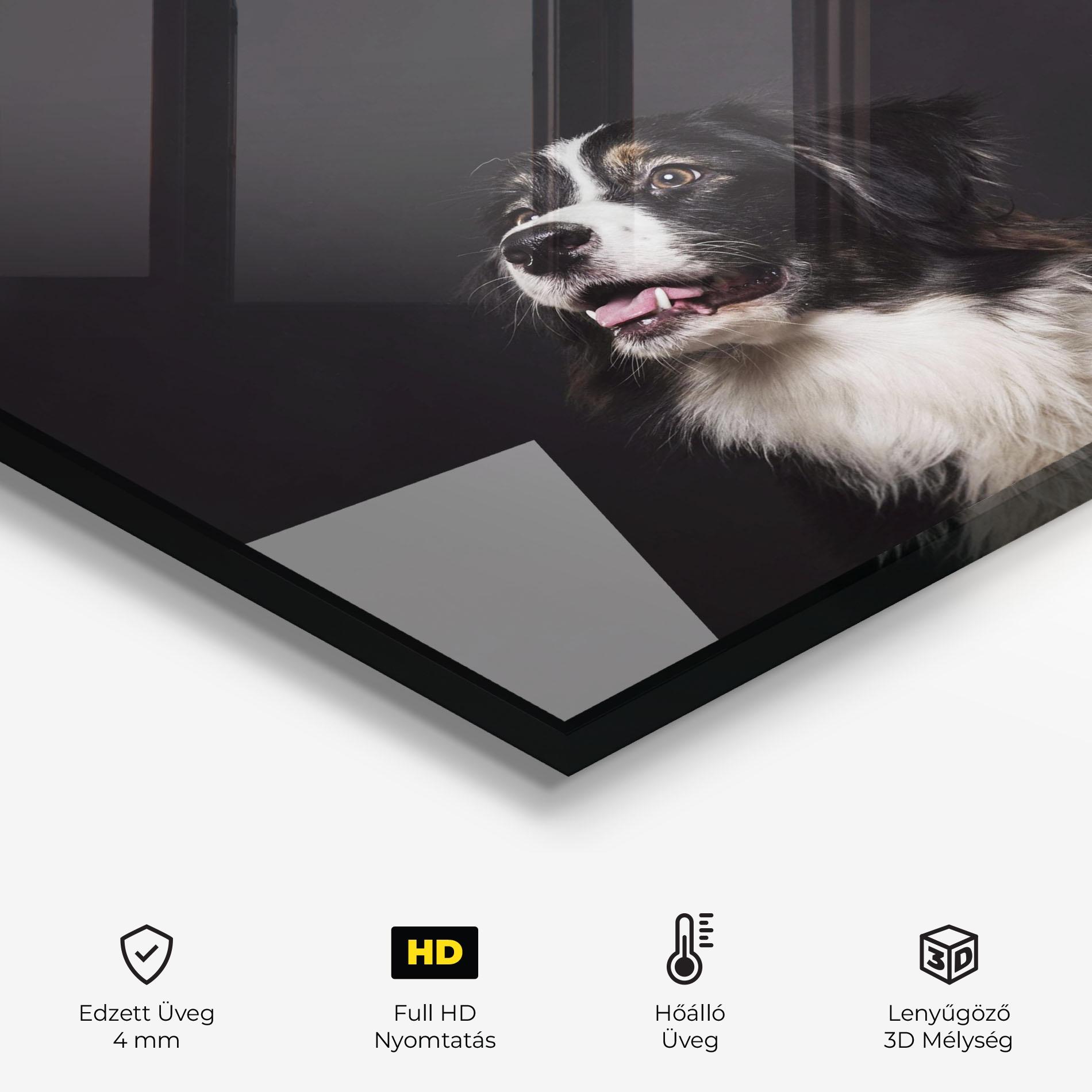 Konyhai üveg hátfal Cute Dogs Standing mockup 2