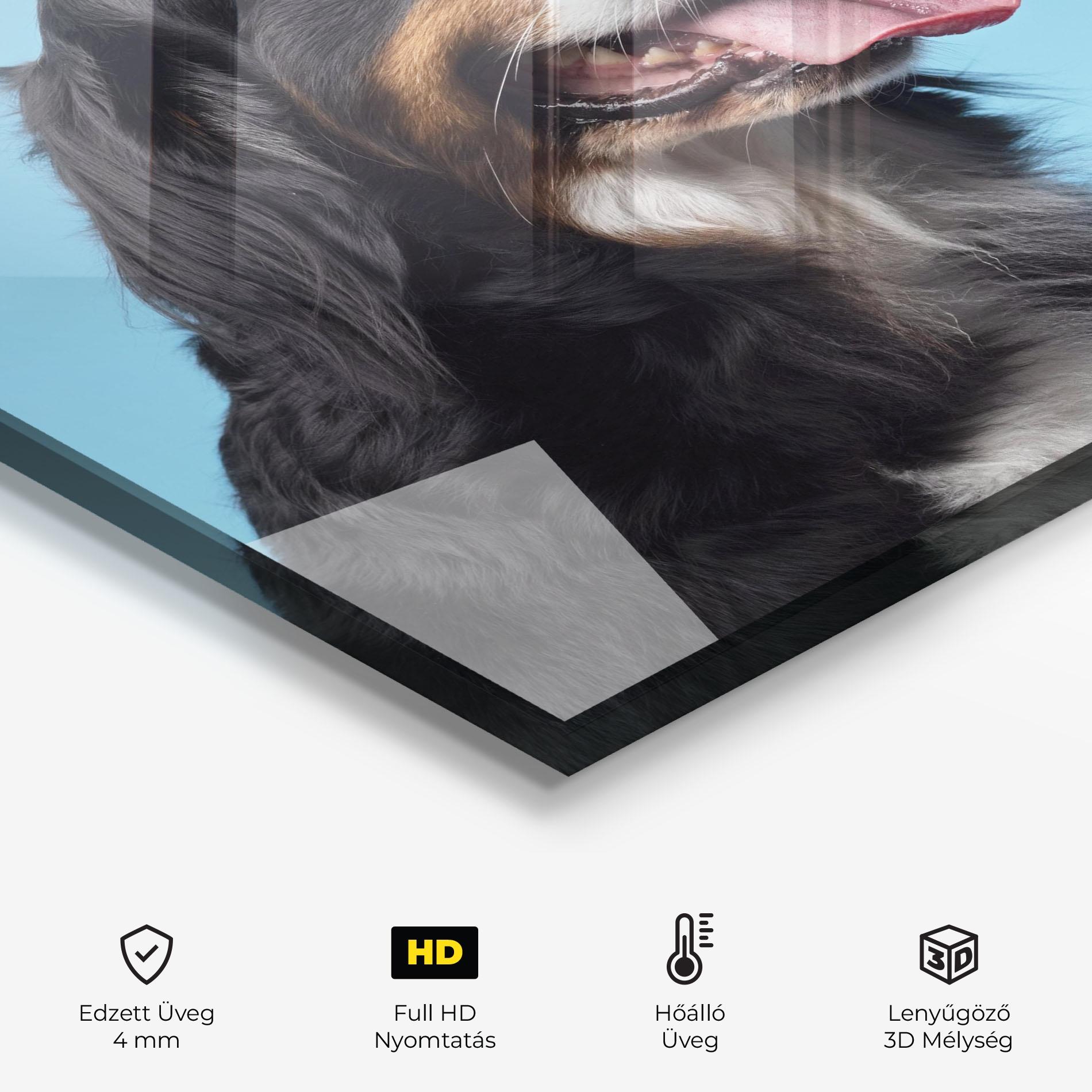 Konyhai üveg hátfal Dog On Blue mockup 2