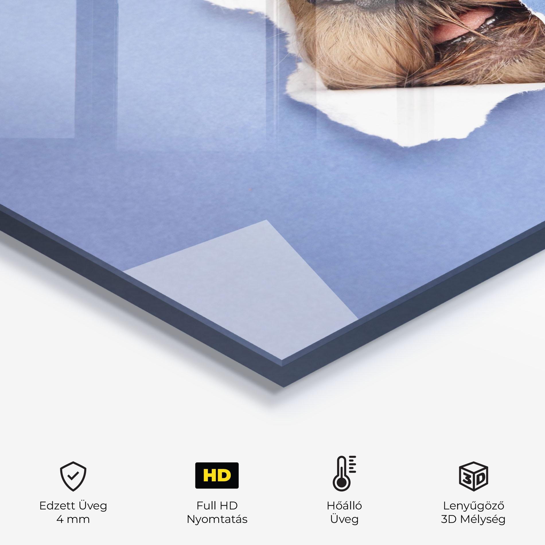 Konyhai üveg hátfal Dog Small Nose mockup 2