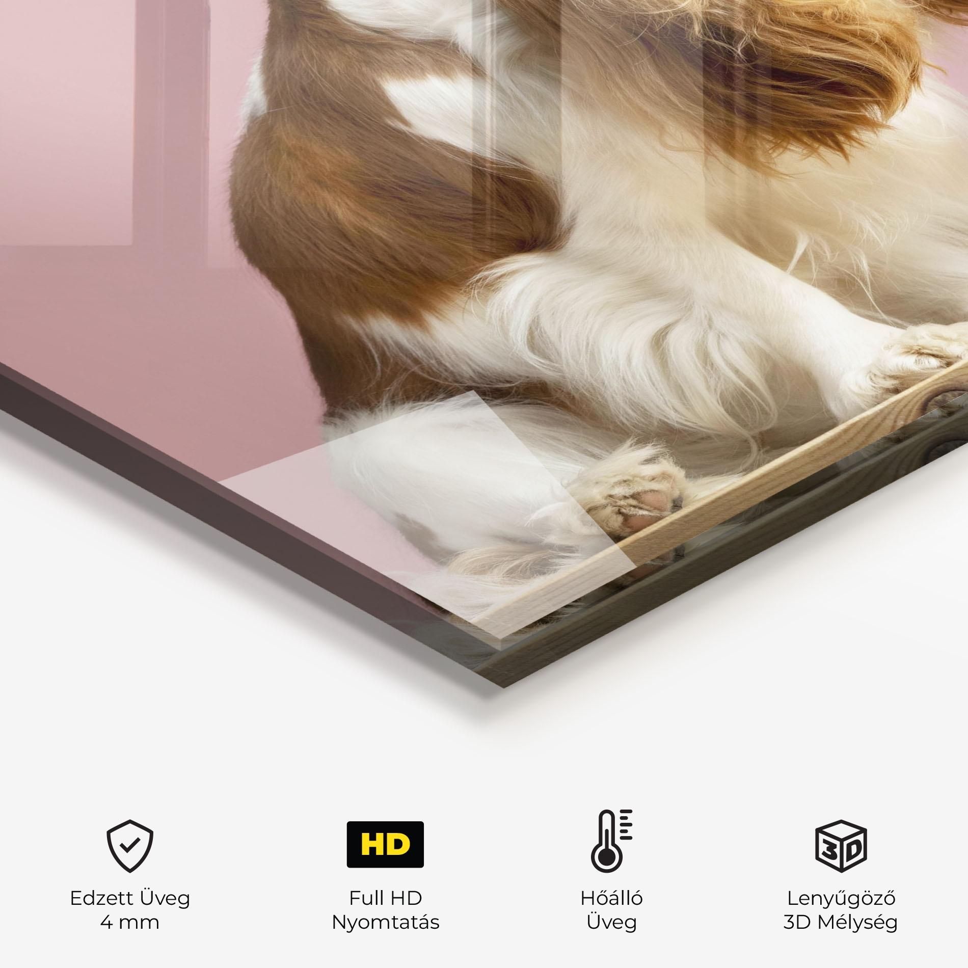 Konyhai üveg hátfal Dog With Juice mockup 2