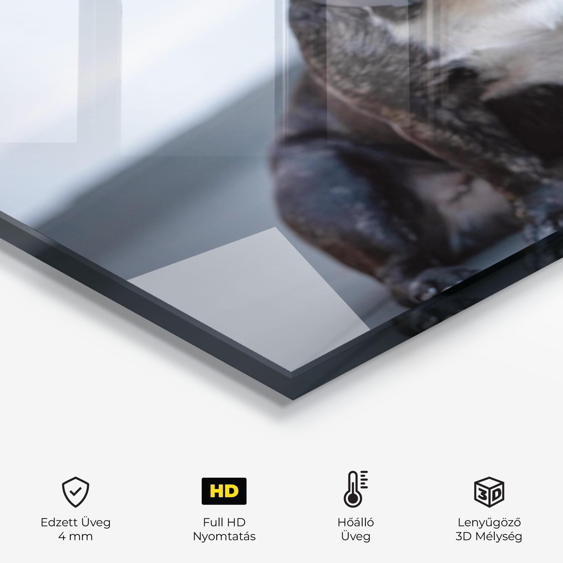 Konyhai üveg hátfal Happy Black Dog mockup 2