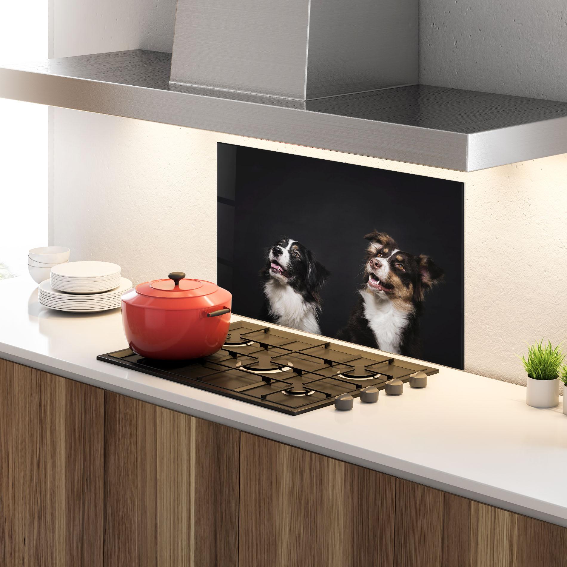 Konyhai üveg hátfal Cute Dogs Standing mockup 4