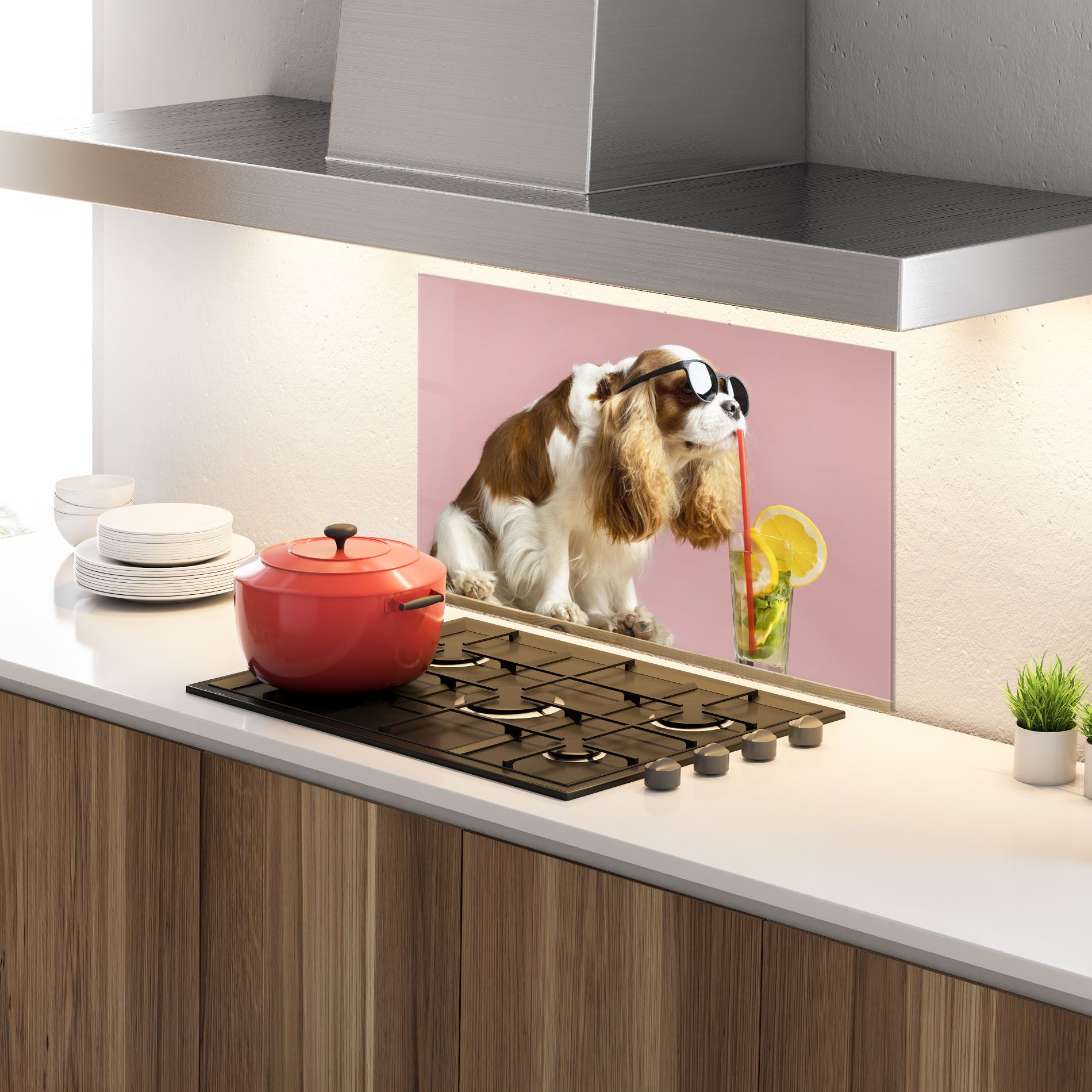 Dog With Juice mockup 4