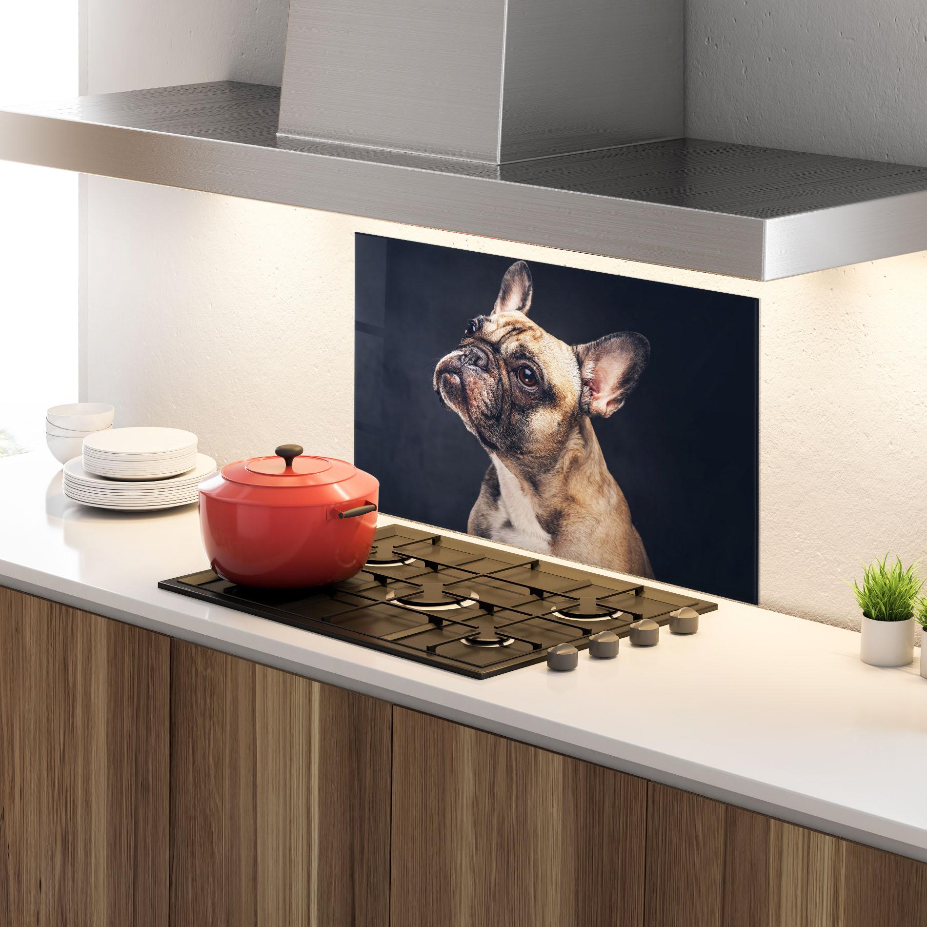 Konyhai üveg hátfal Funny Face Dog mockup 4