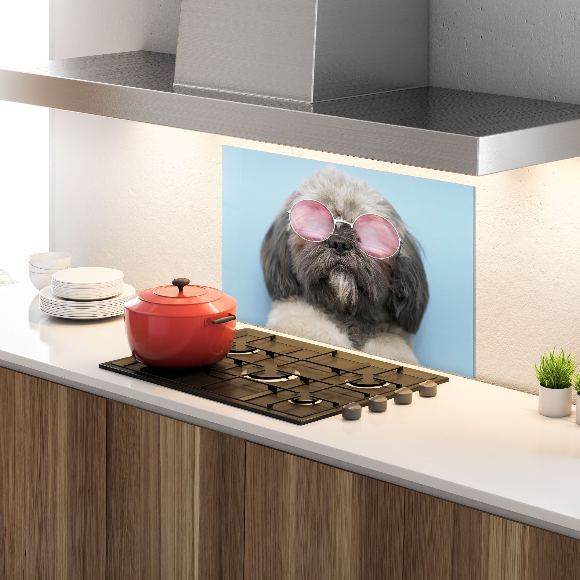 Grey Dog On Blue mockup 4