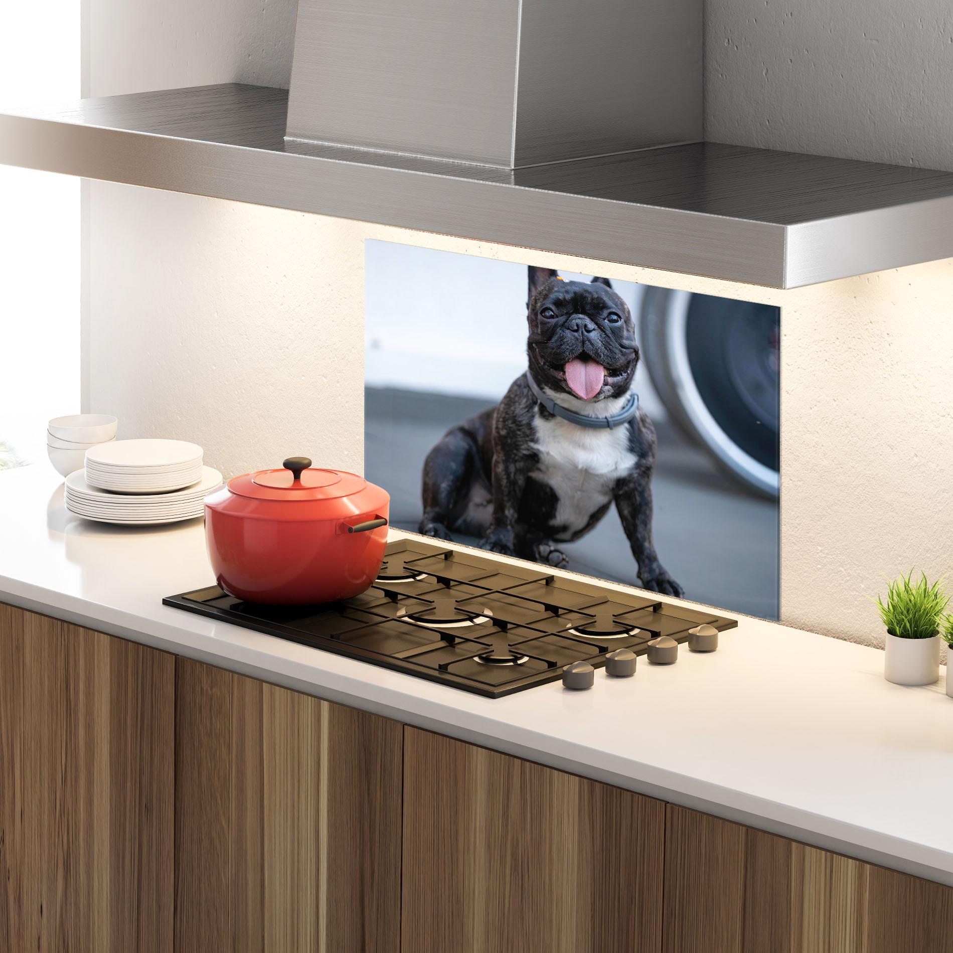 Konyhai üveg hátfal Happy Black Dog mockup 4