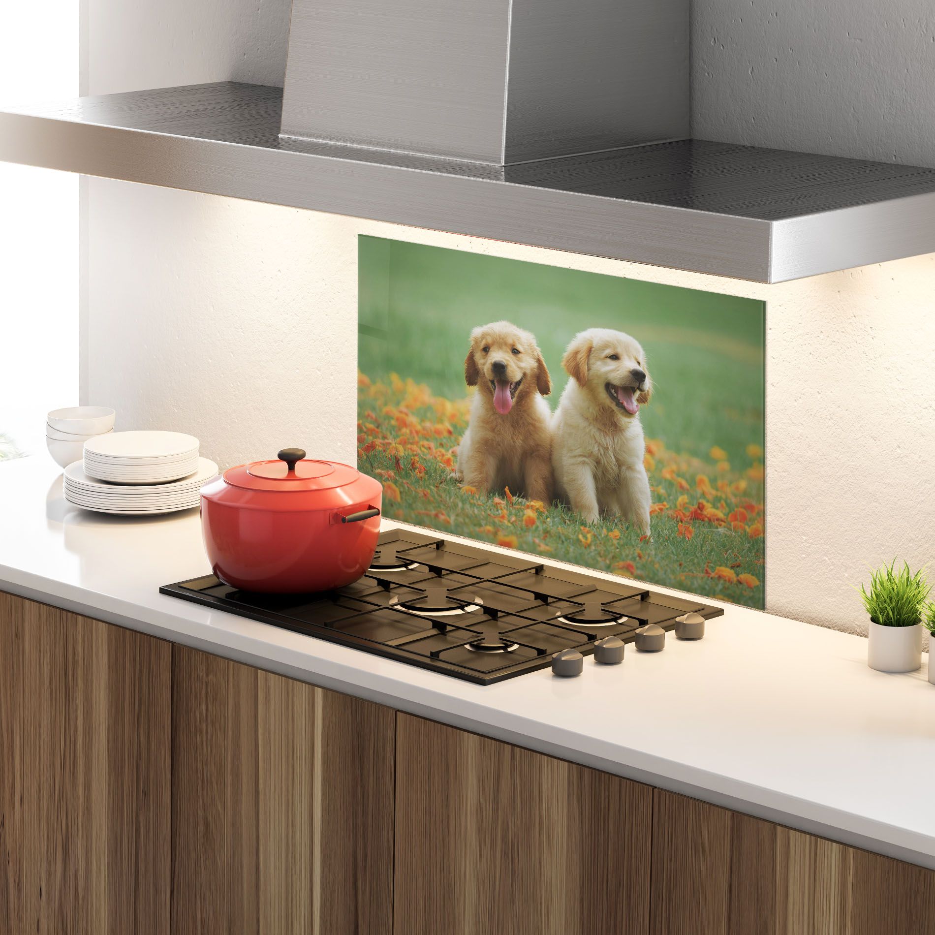 Happy Dogs mockup 4