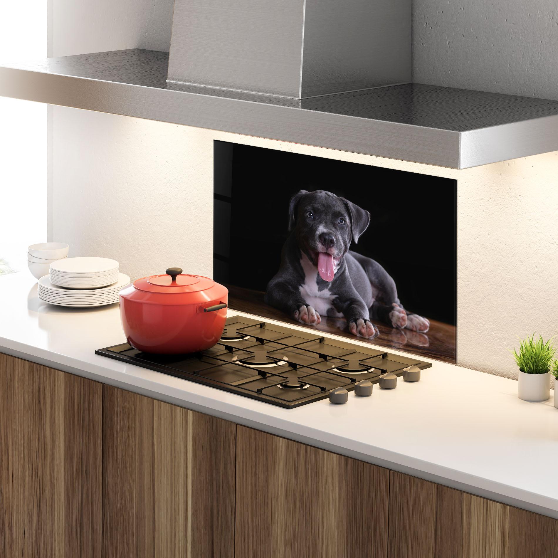Konyhai üveg hátfal Terrier Puppy mockup 4