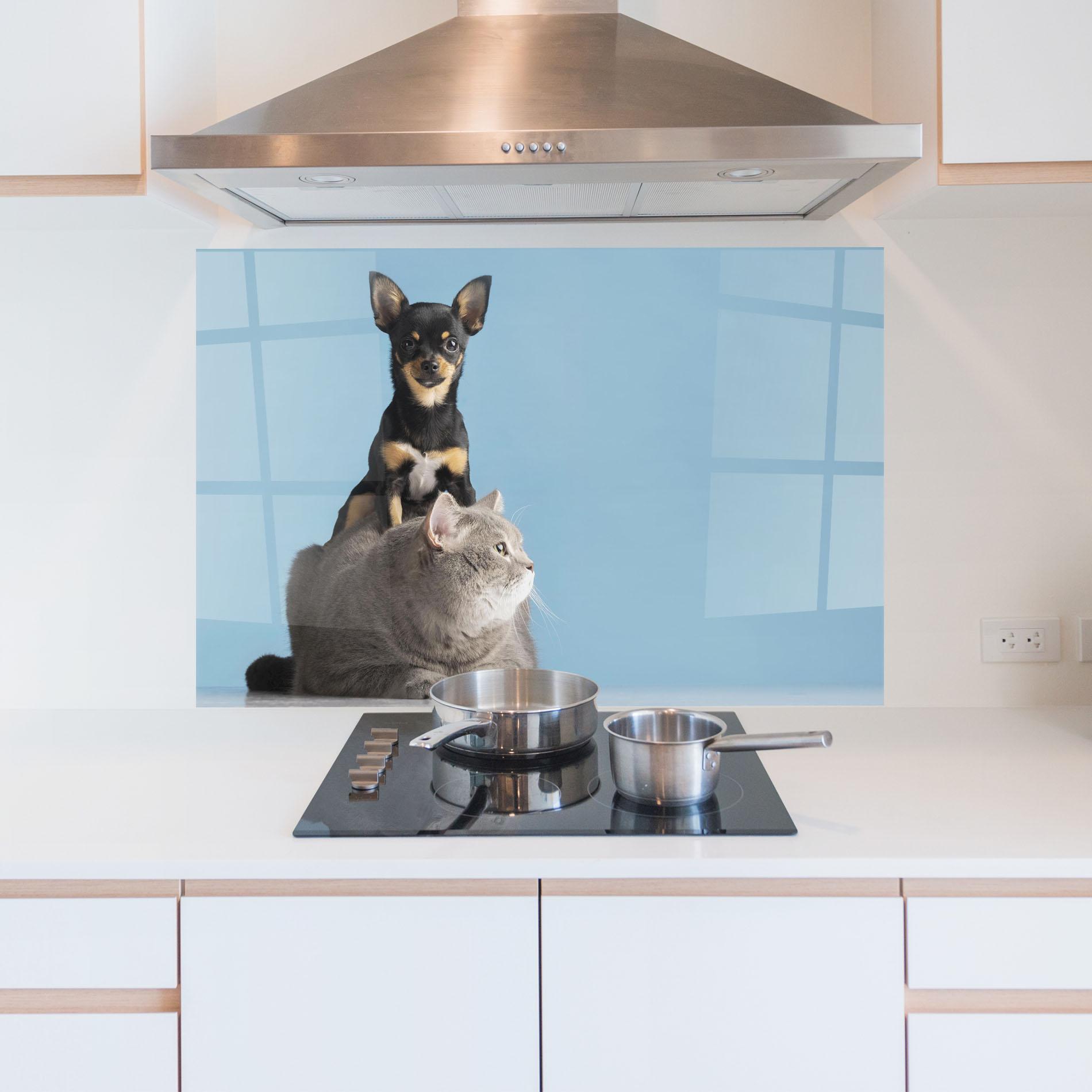 Konyhai üveg hátfal Dog Grey Cat mockup 5