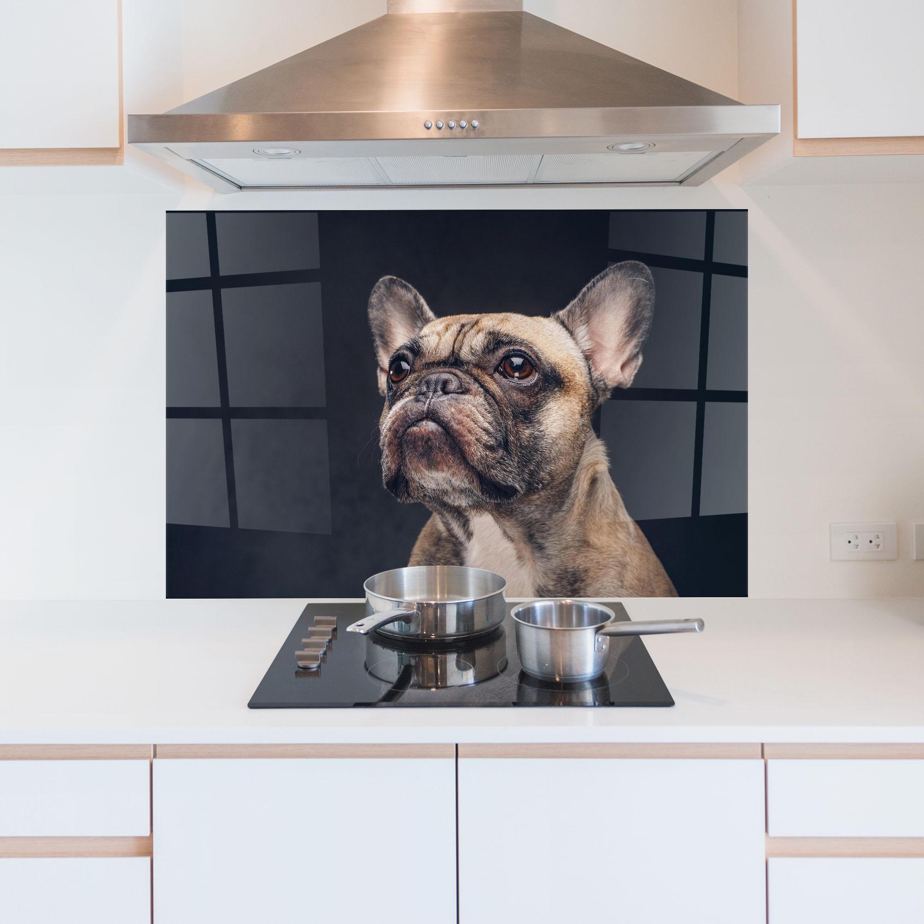 Konyhai üveg hátfal Dog Looking Up mockup 5