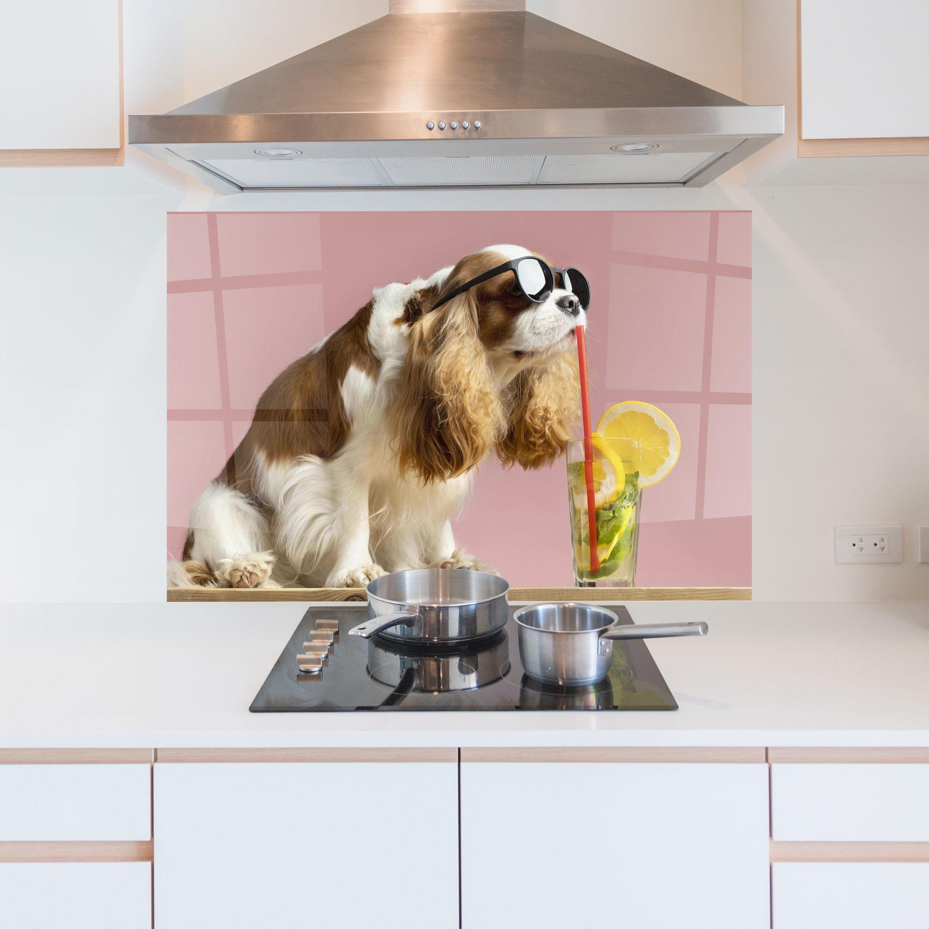Konyhai üveg hátfal Dog With Juice mockup 5
