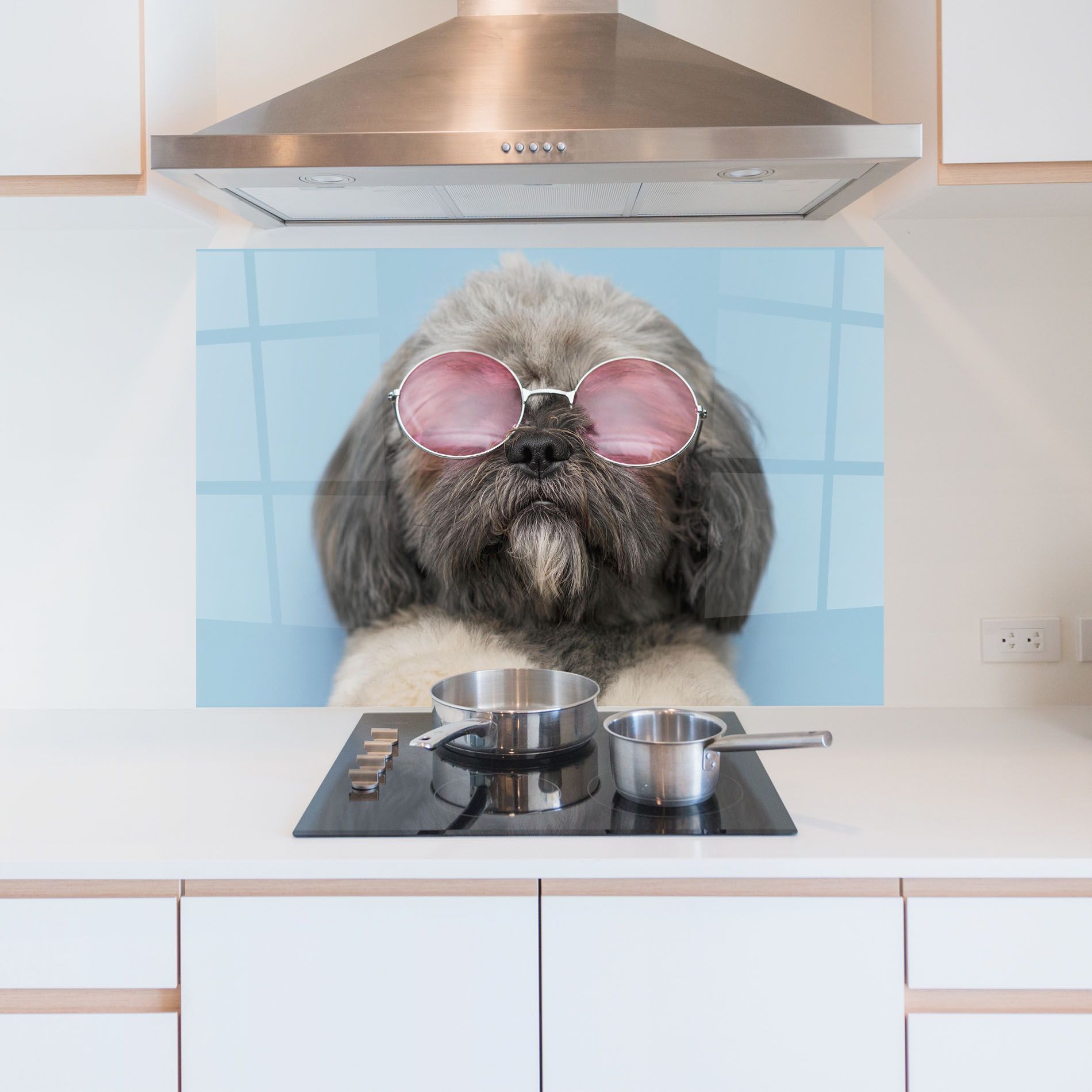 Grey Dog On Blue mockup 5