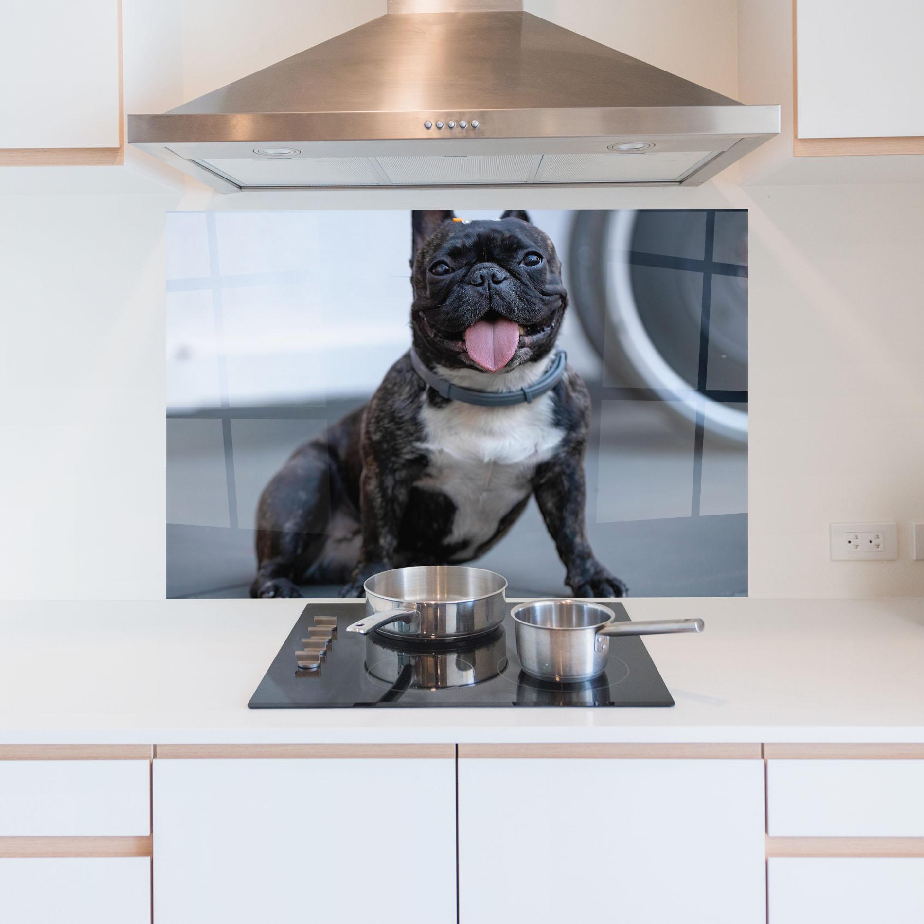 Konyhai üveg hátfal Happy Black Dog mockup 5