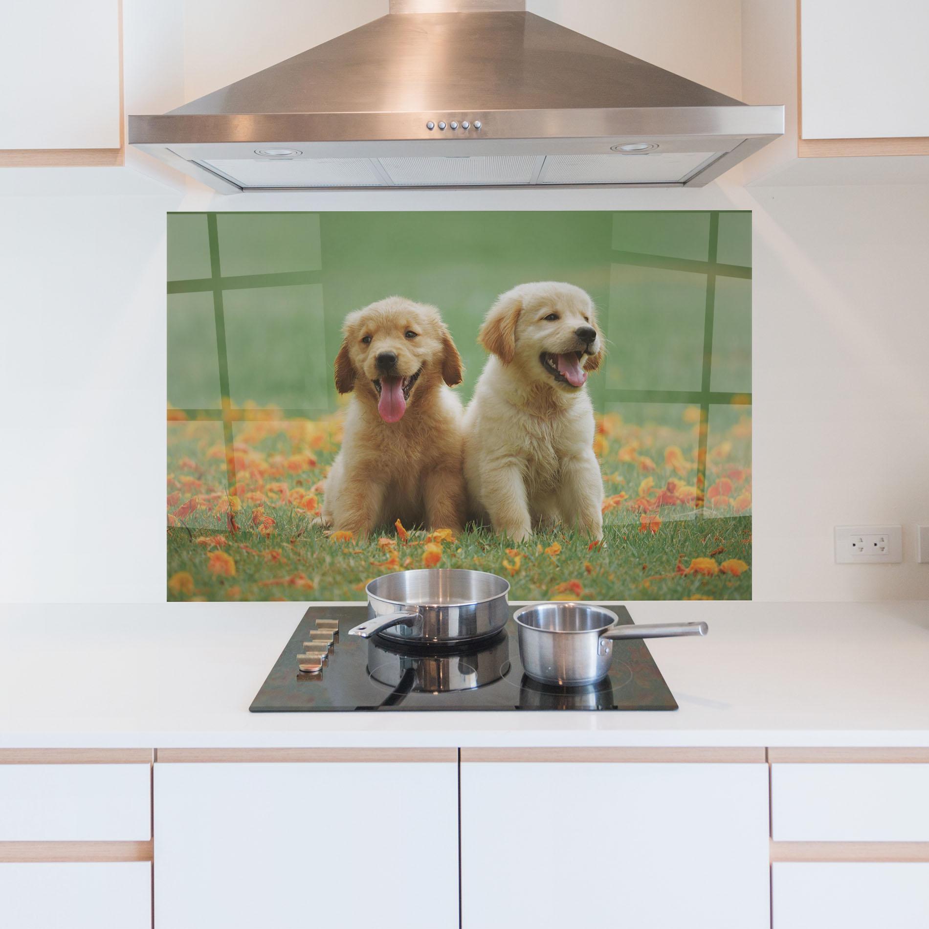 Konyhai üveg hátfal Happy Dogs mockup 5