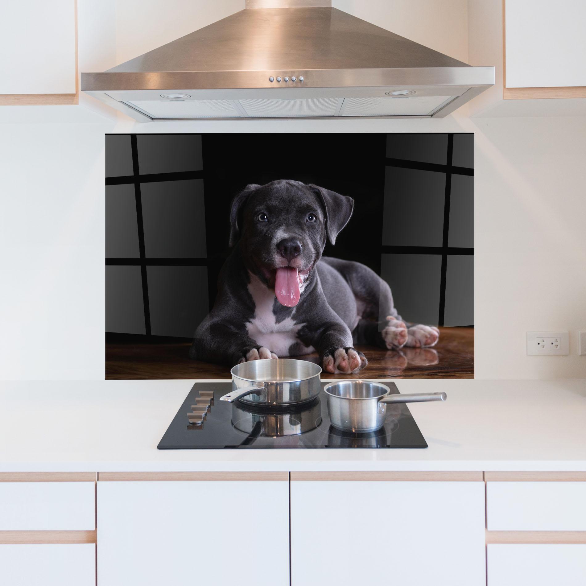 Konyhai üveg hátfal Terrier Puppy mockup 5