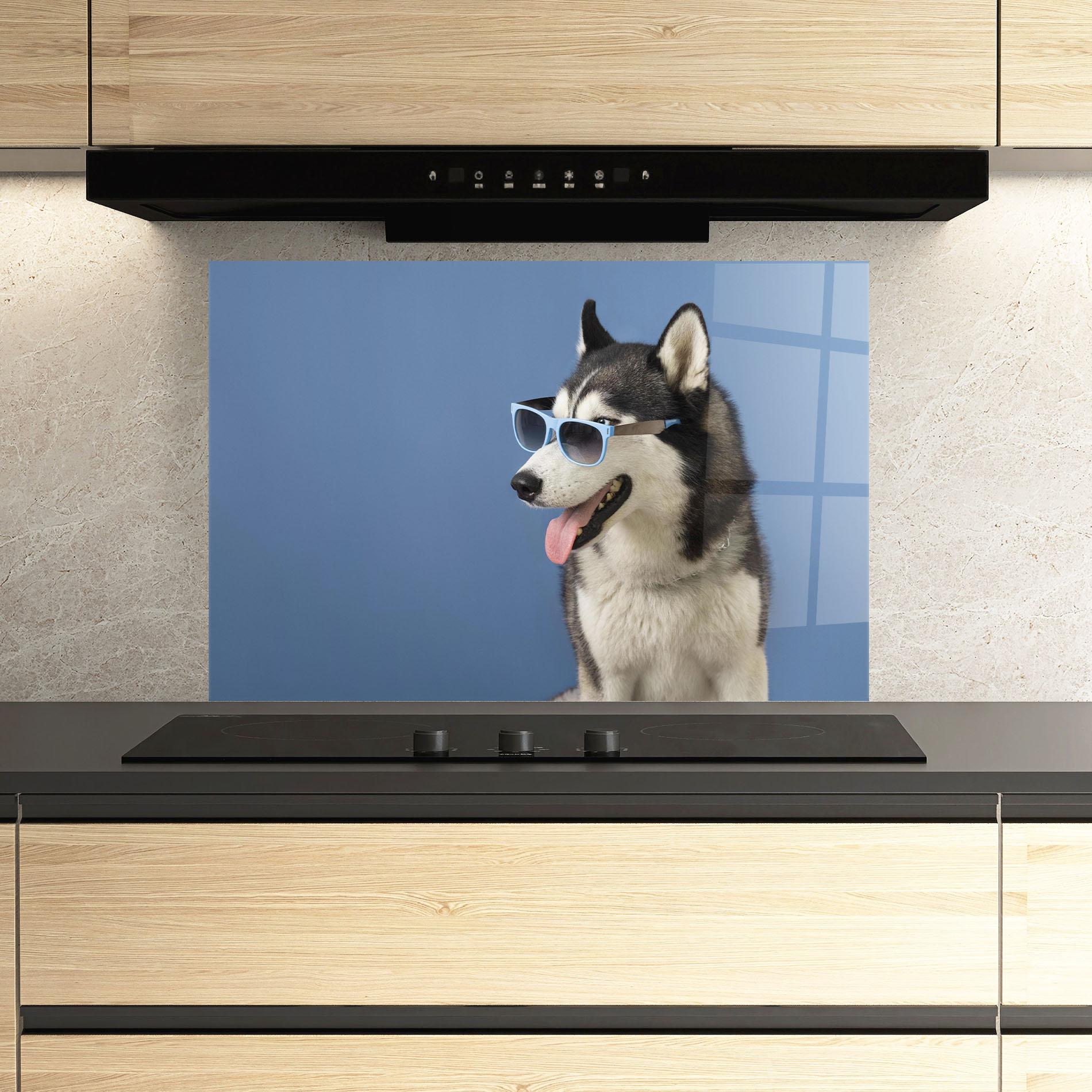 Konyhai üveg hátfal Blue Glasses Dog mockup 3