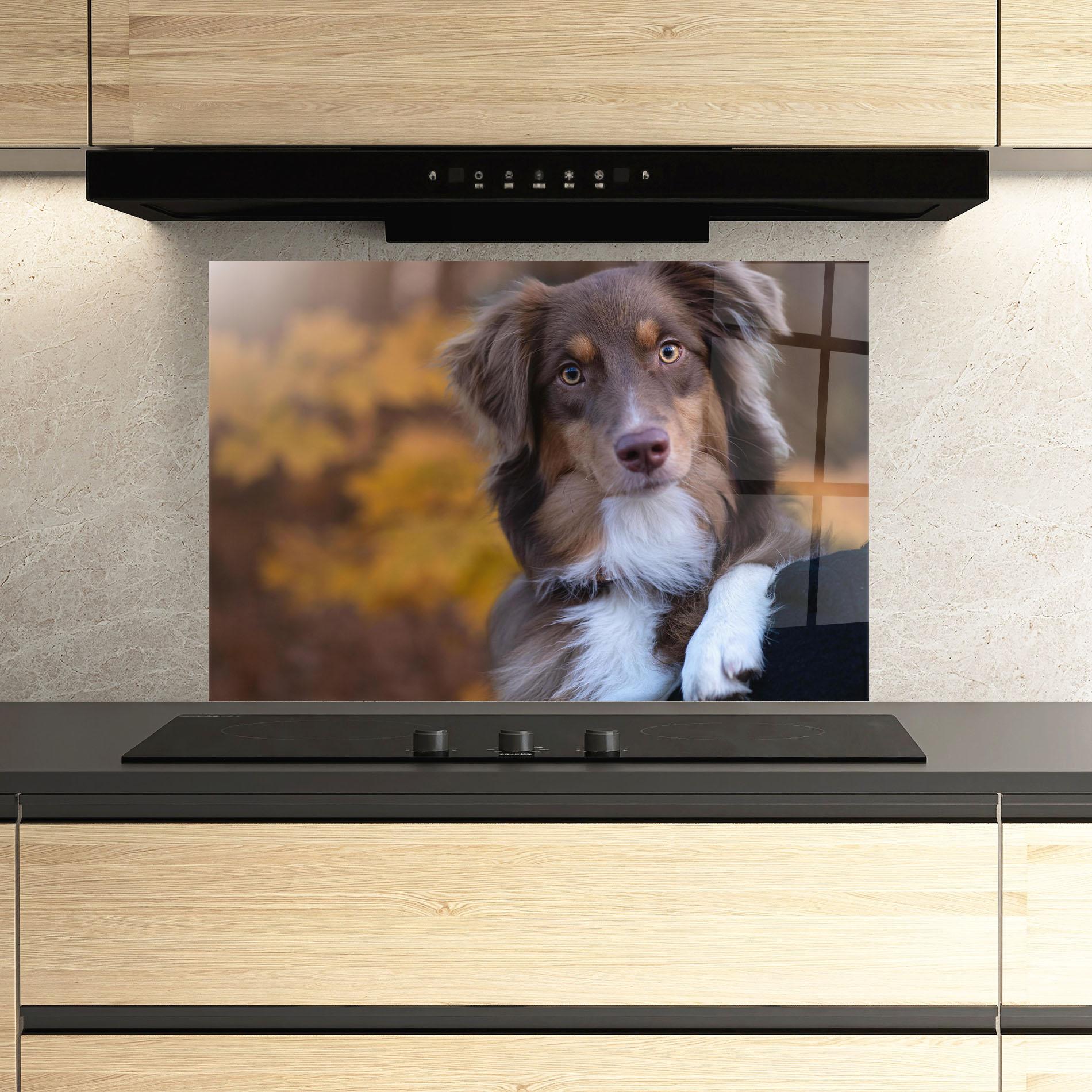 Konyhai üveg hátfal Coffee Brown Dog mockup 3