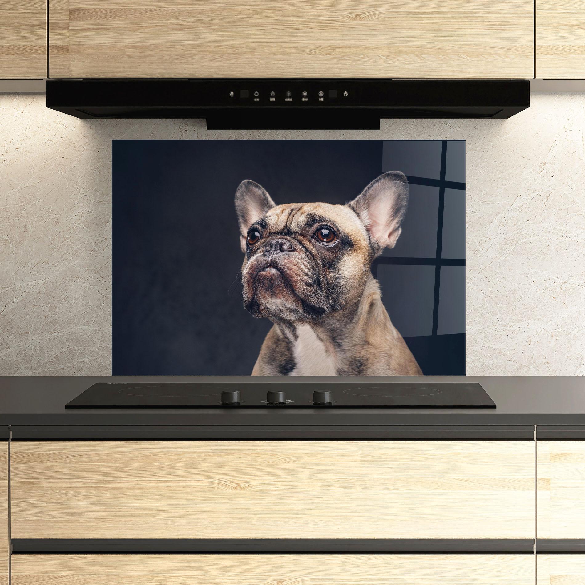 Konyhai üveg hátfal Dog Looking Up mockup 3