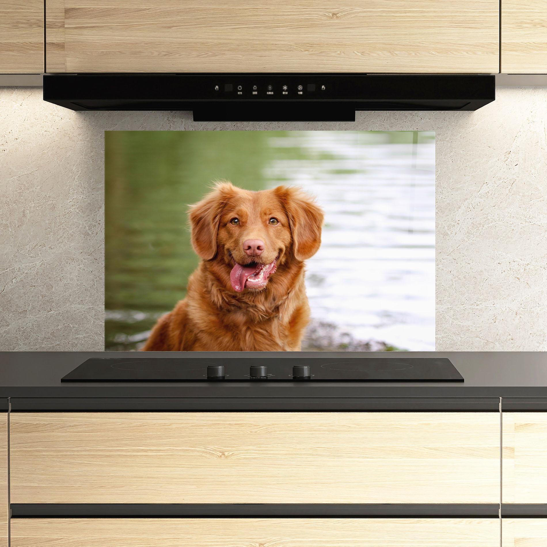 Konyhai üveg hátfal Gren Water Dog mockup 3