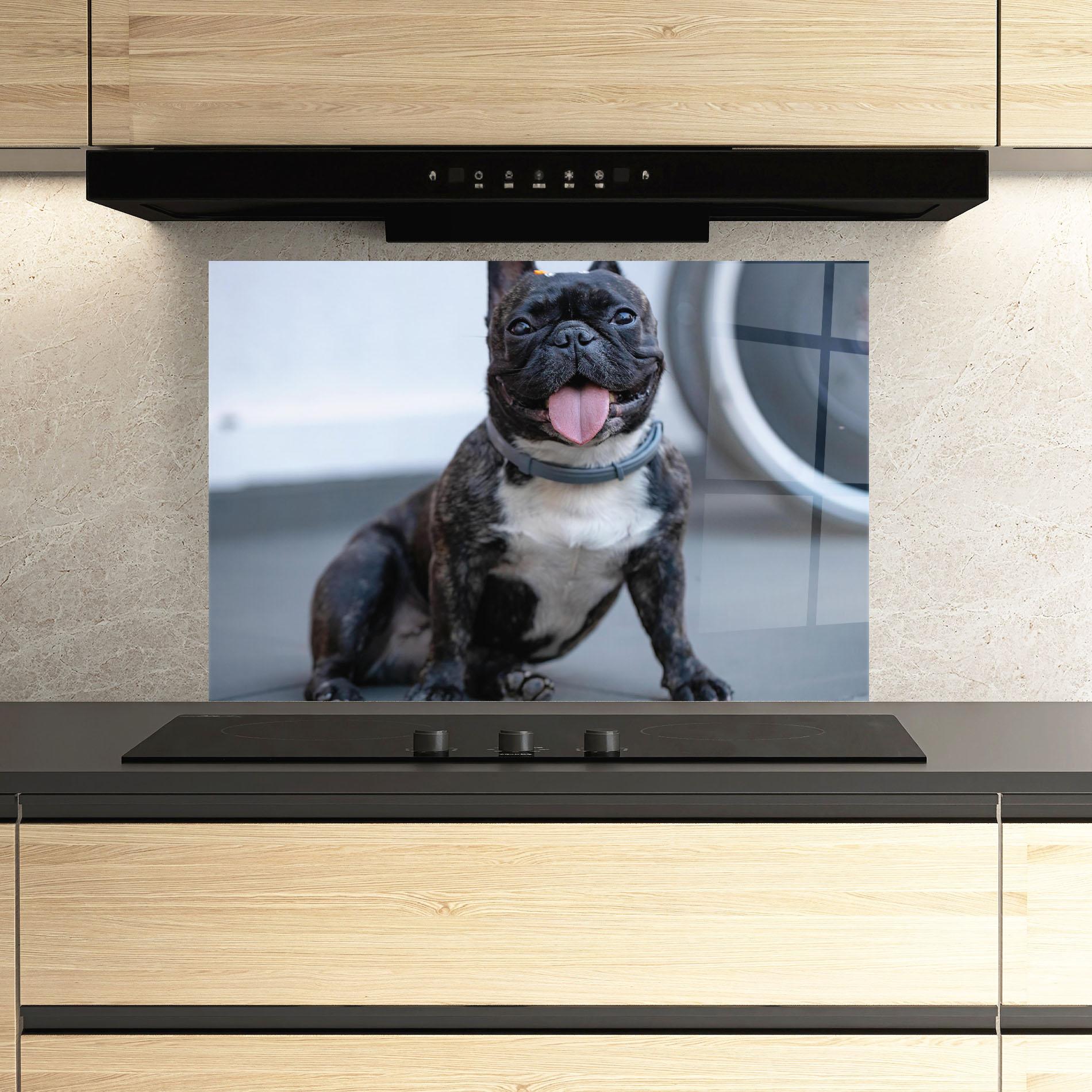 Konyhai üveg hátfal Happy Black Dog mockup 3