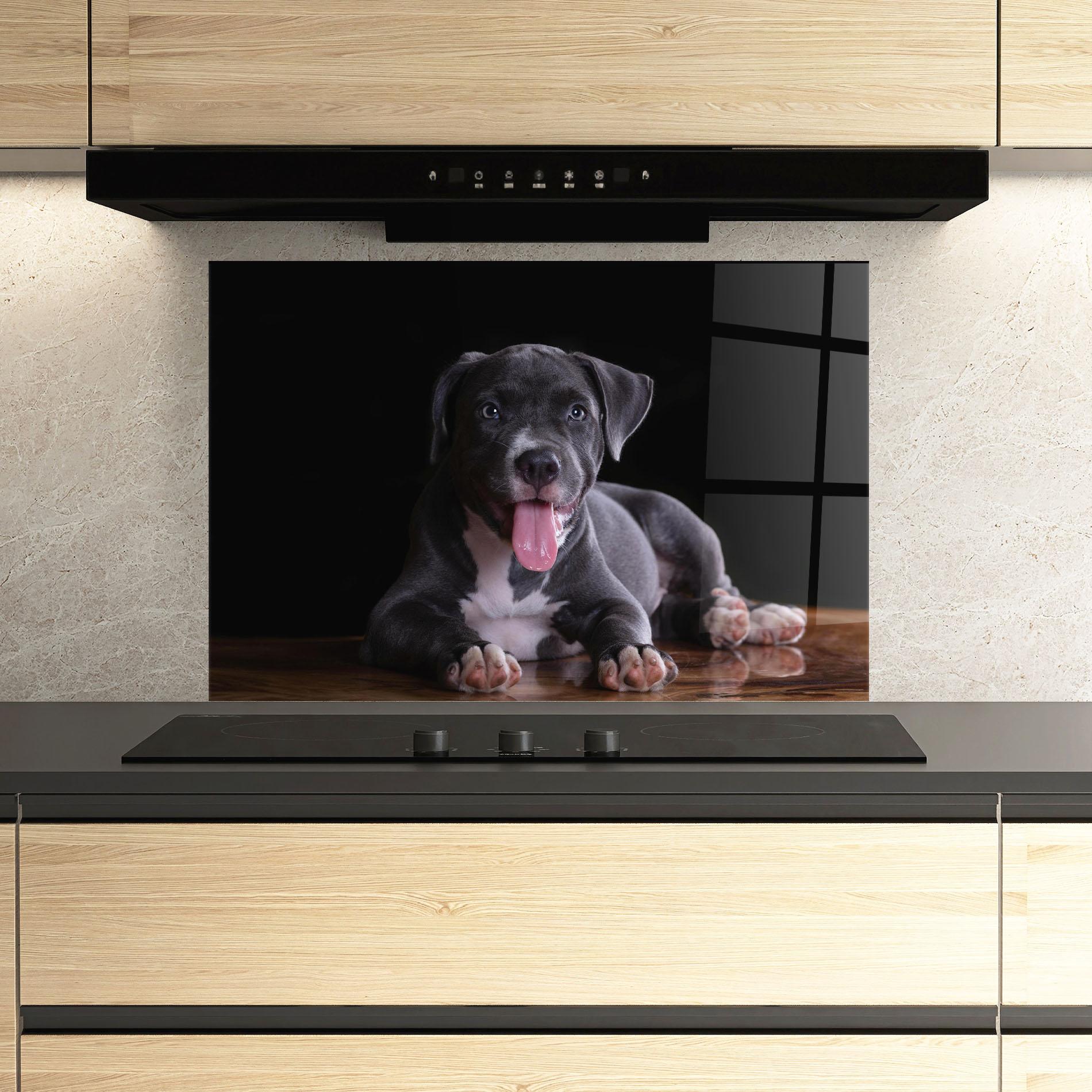 Konyhai üveg hátfal Terrier Puppy mockup 3