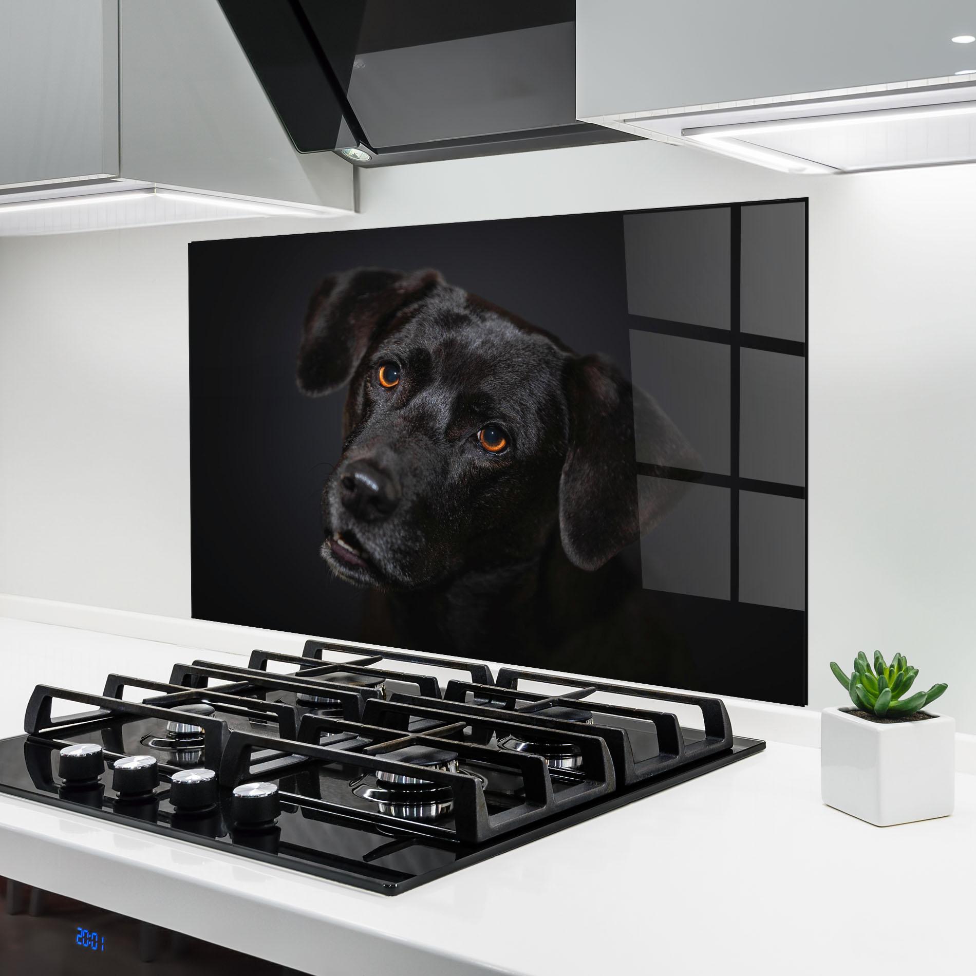 Konyhai üveg hátfal Black Dog Portrait mockup 6
