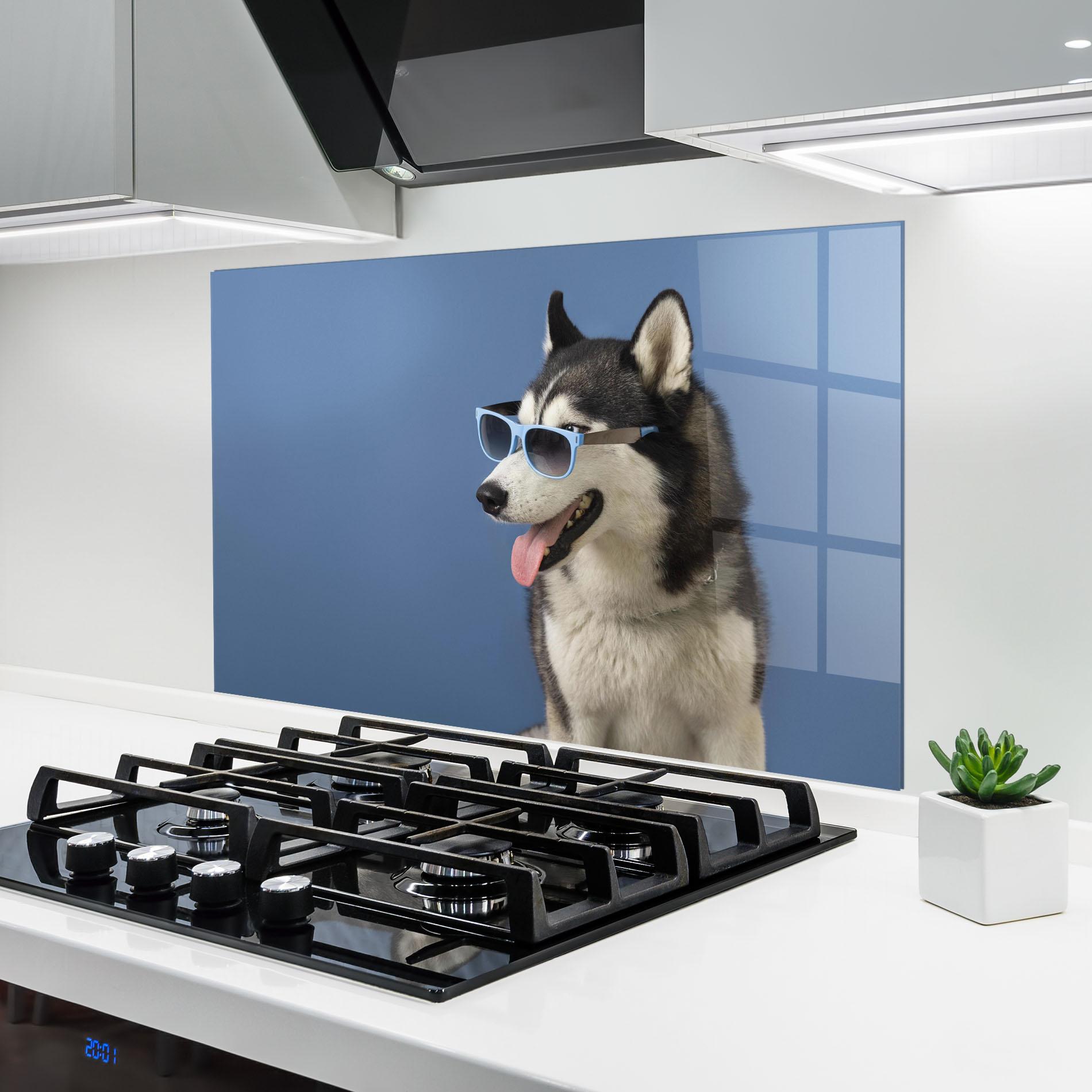 Konyhai üveg hátfal Blue Glasses Dog mockup 6