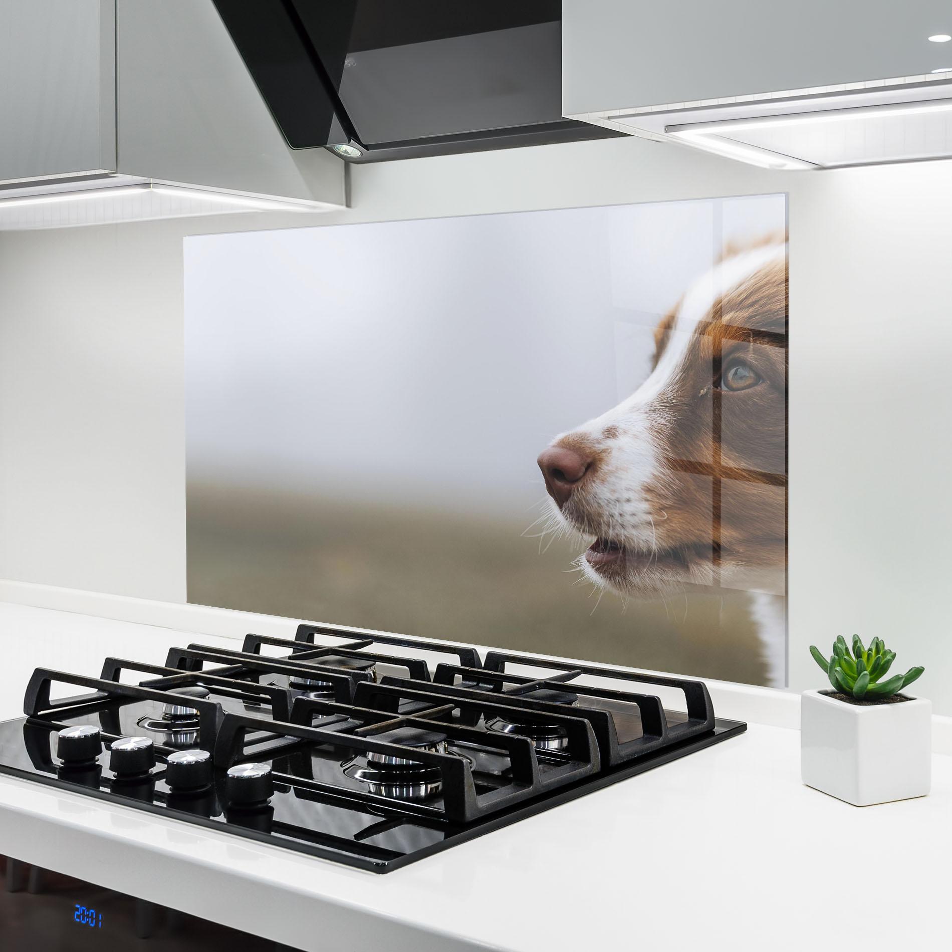 Konyhai üveg hátfal Brown White Dog mockup 6