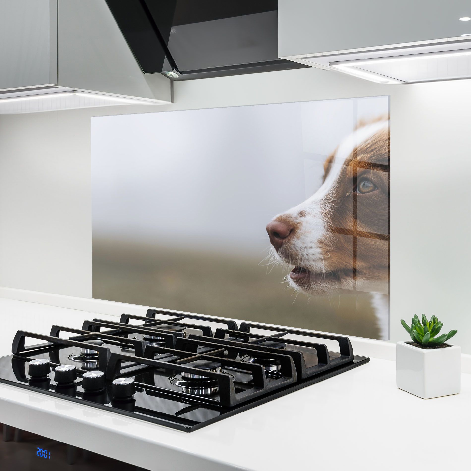 Brown White Dog mockup 6