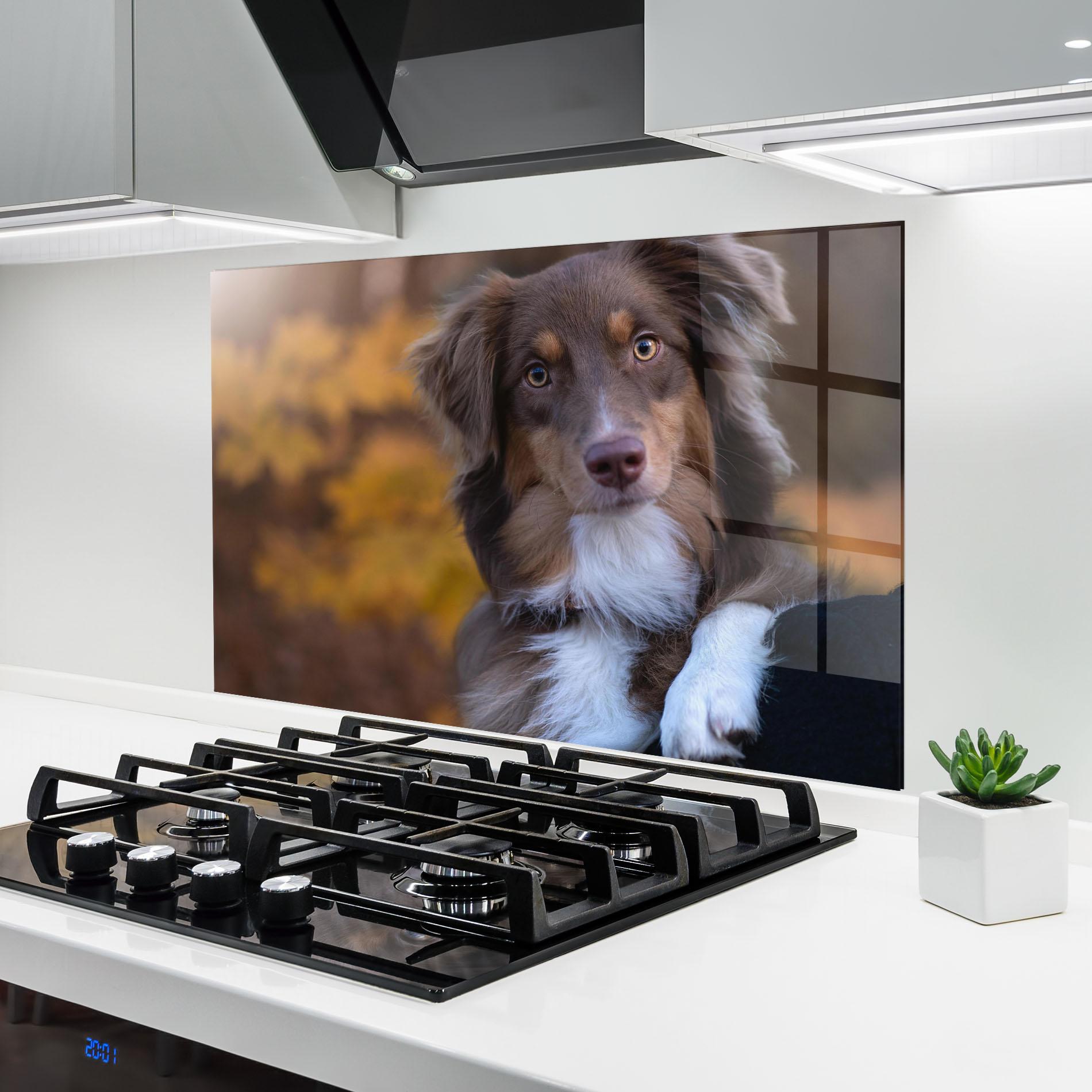 Konyhai üveg hátfal Coffee Brown Dog mockup 6