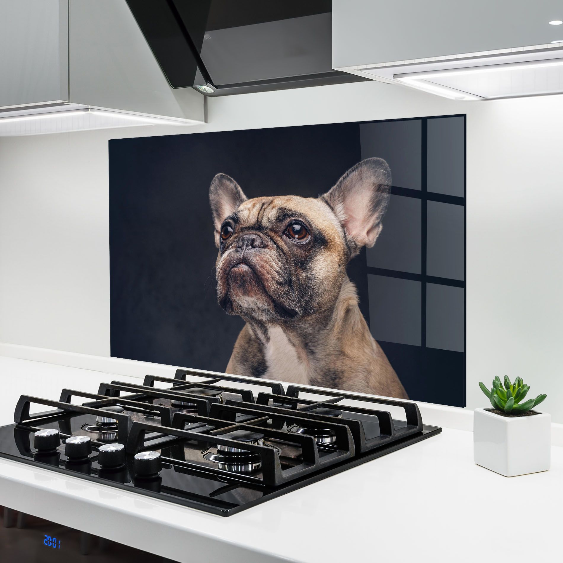 Dog Looking Up mockup 6