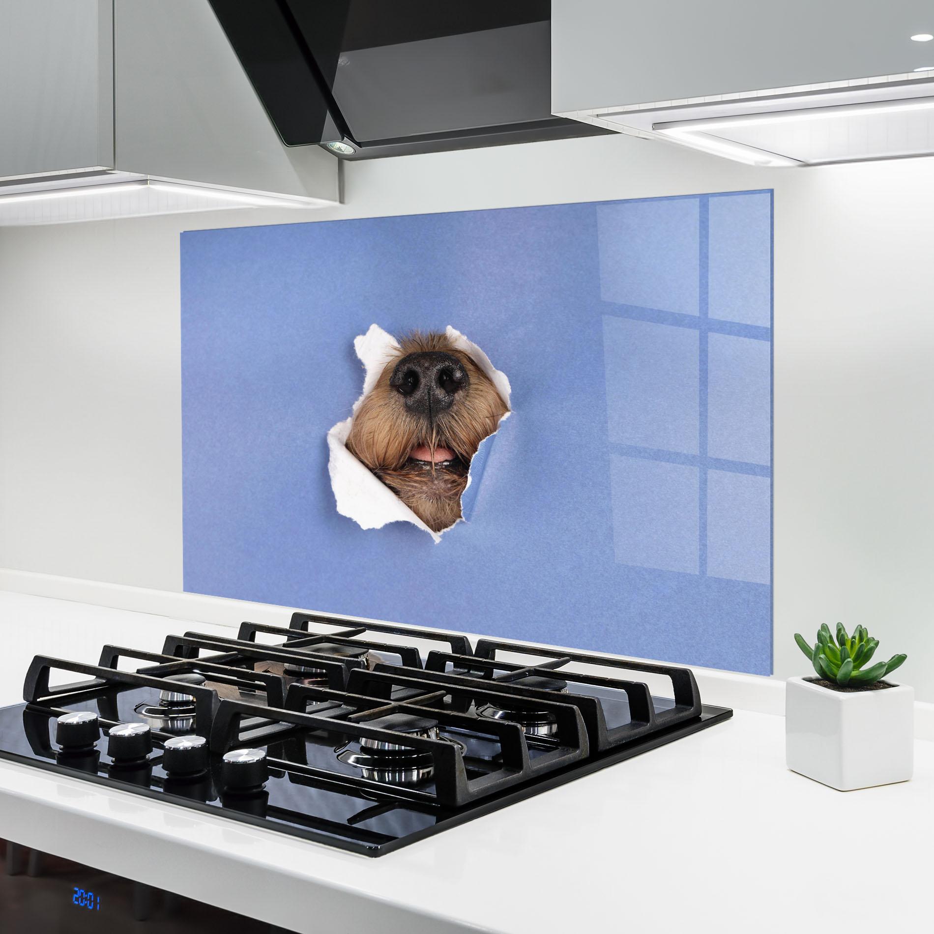 Konyhai üveg hátfal Dog Small Nose mockup 6