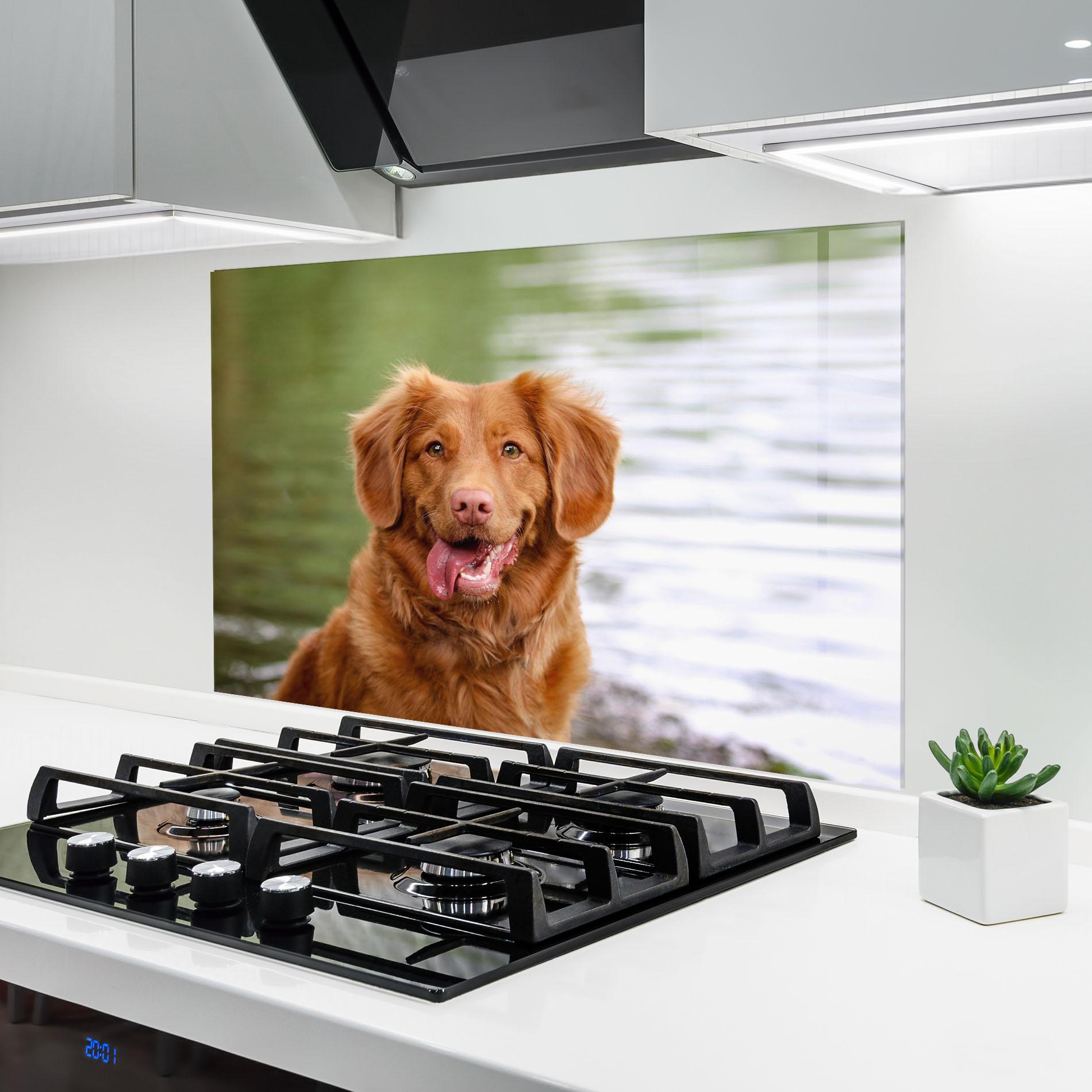 Konyhai üveg hátfal Gren Water Dog mockup 6