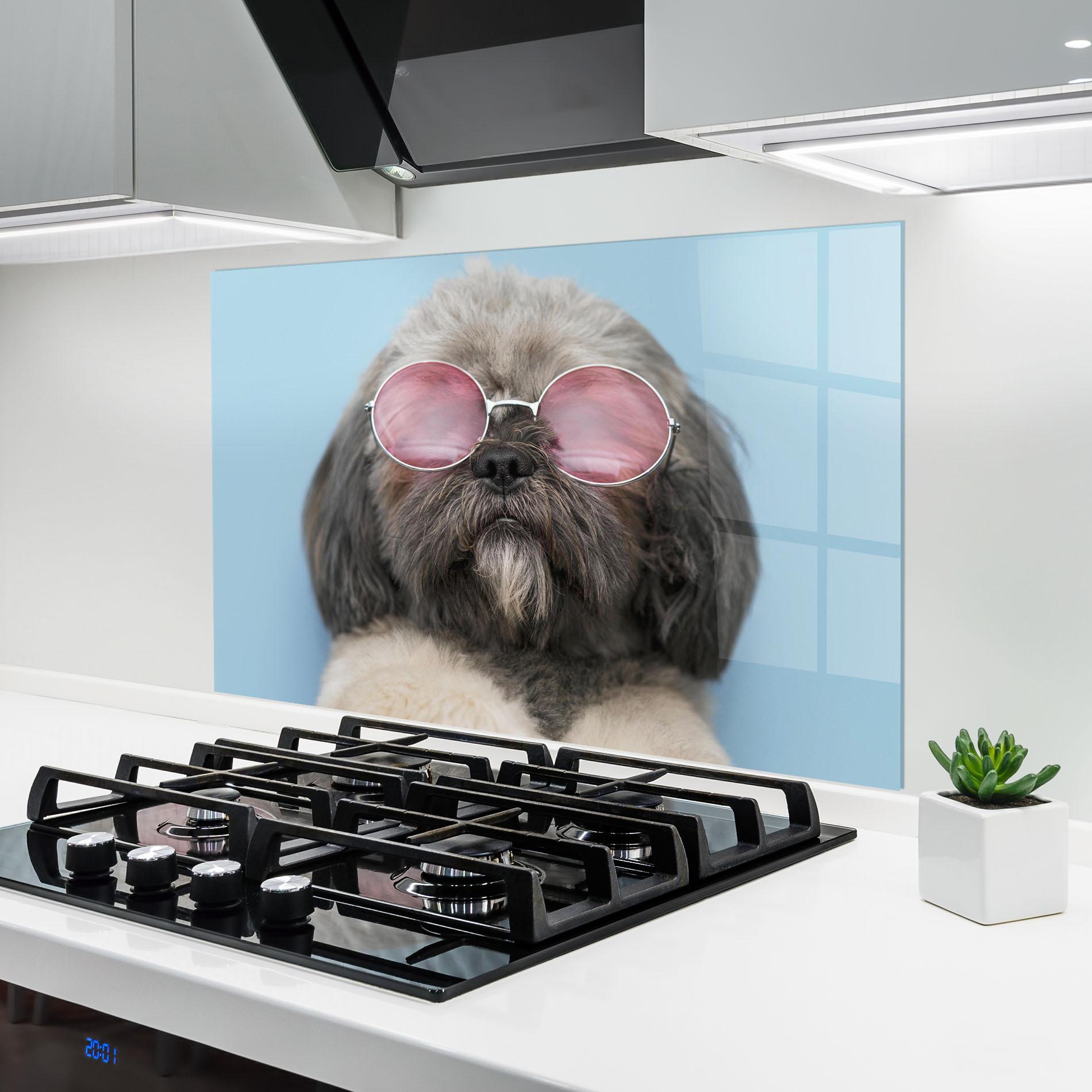 Konyhai üveg hátfal Grey Dog On Blue mockup 6