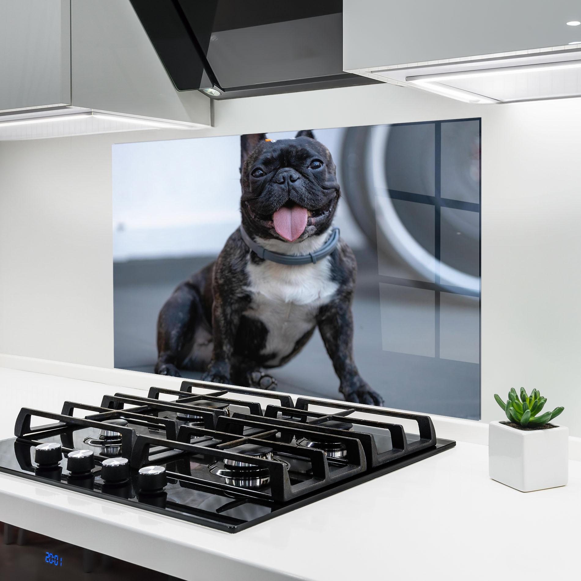 Konyhai üveg hátfal Happy Black Dog mockup 6