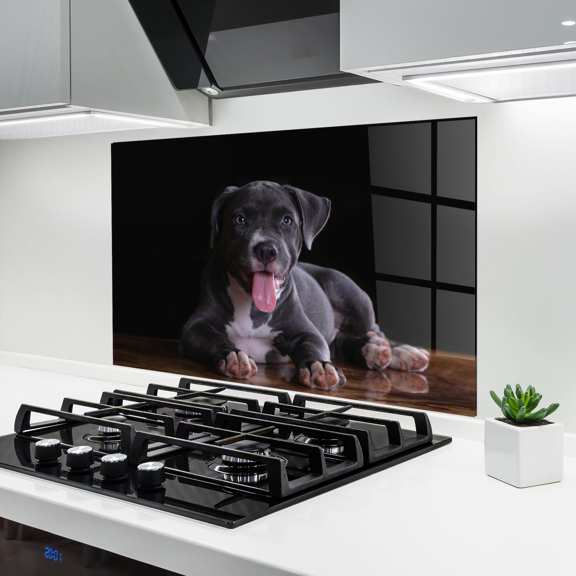 Konyhai üveg hátfal Terrier Puppy mockup 6