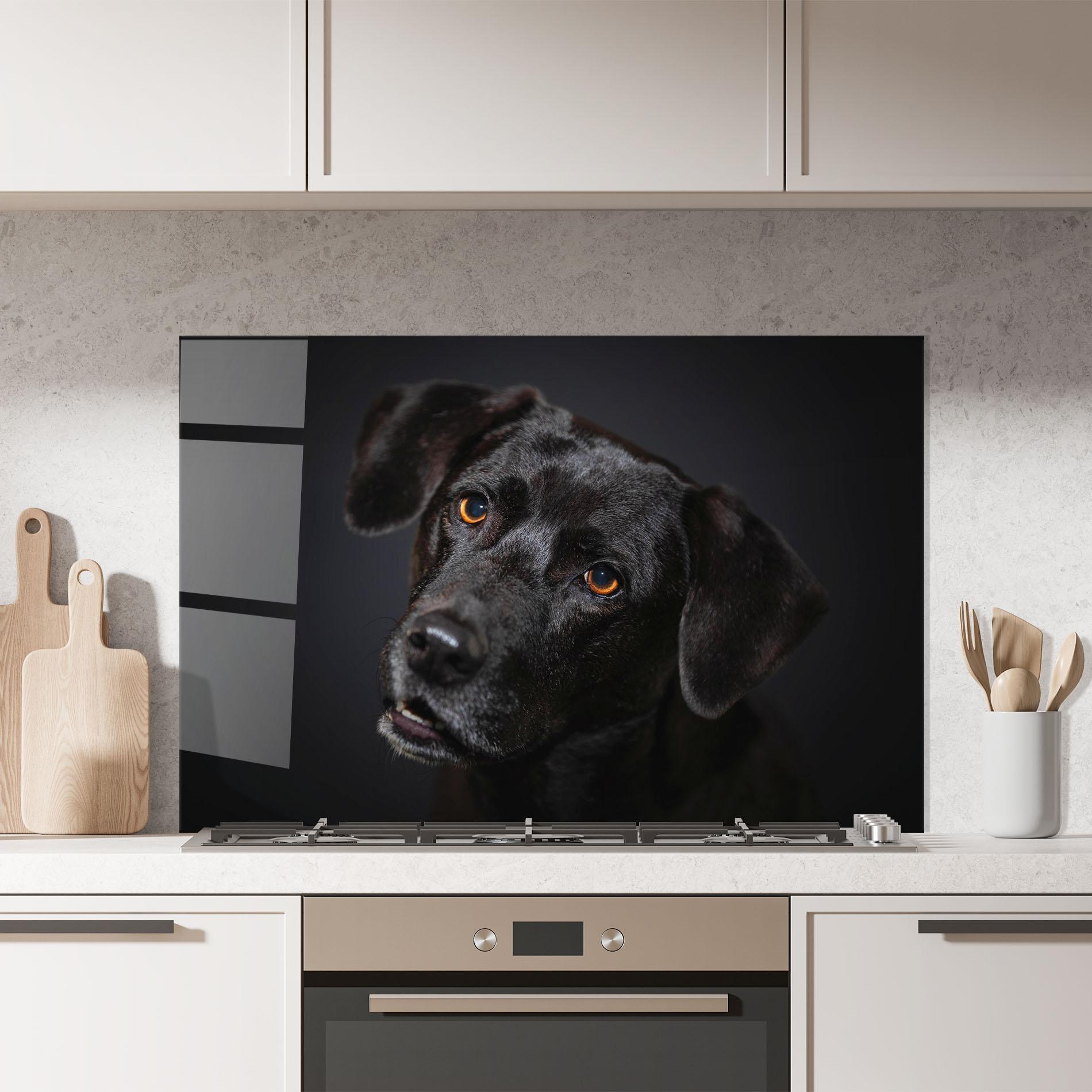 Konyhai üveg hátfal Black Dog Portrait mockup 7