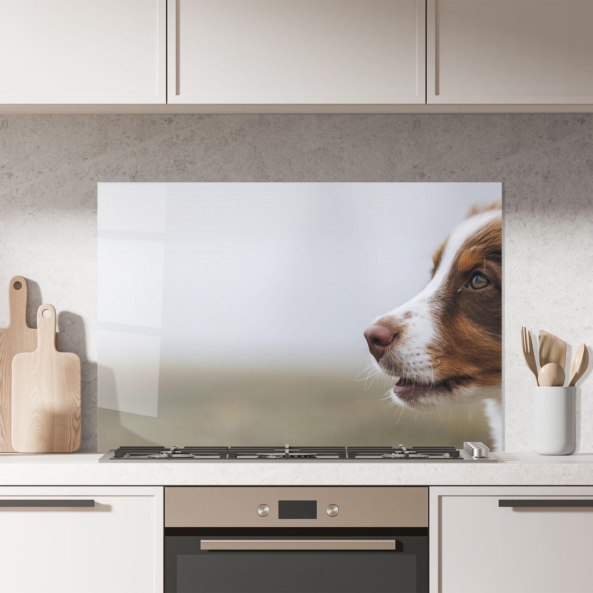 Konyhai üveg hátfal Brown White Dog mockup 7