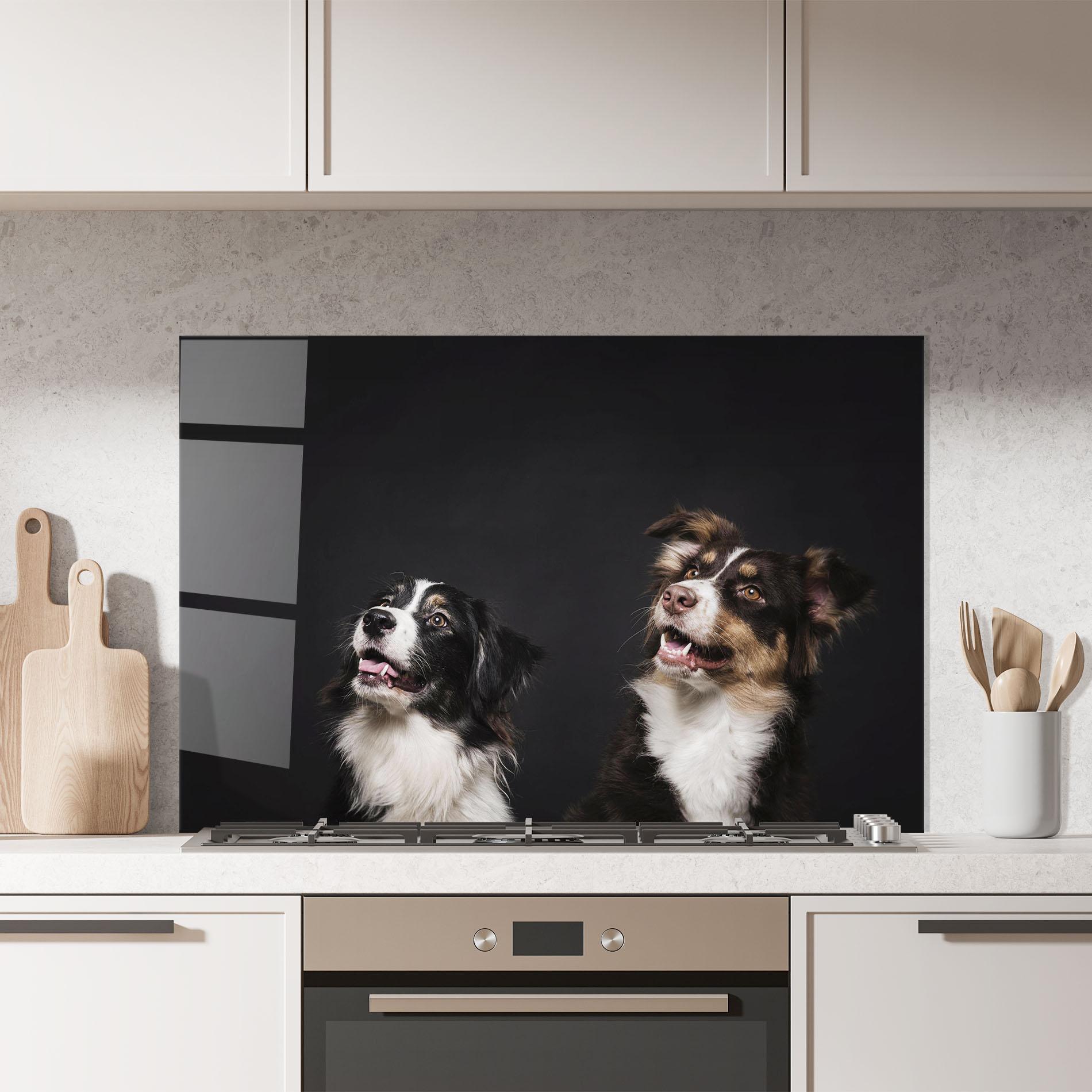Konyhai üveg hátfal Cute Dogs Standing mockup 7