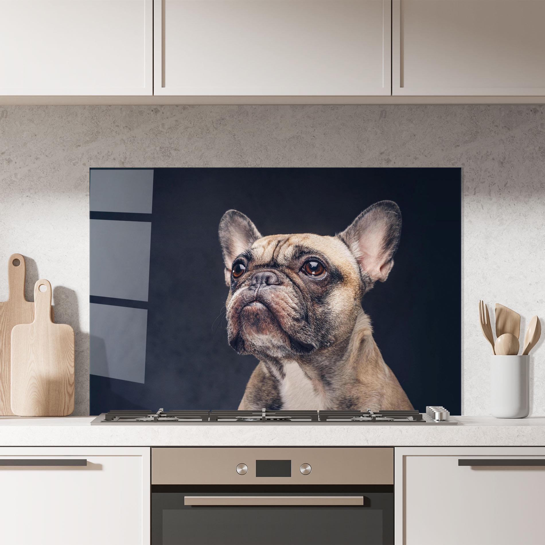Konyhai üveg hátfal Dog Looking Up mockup 7