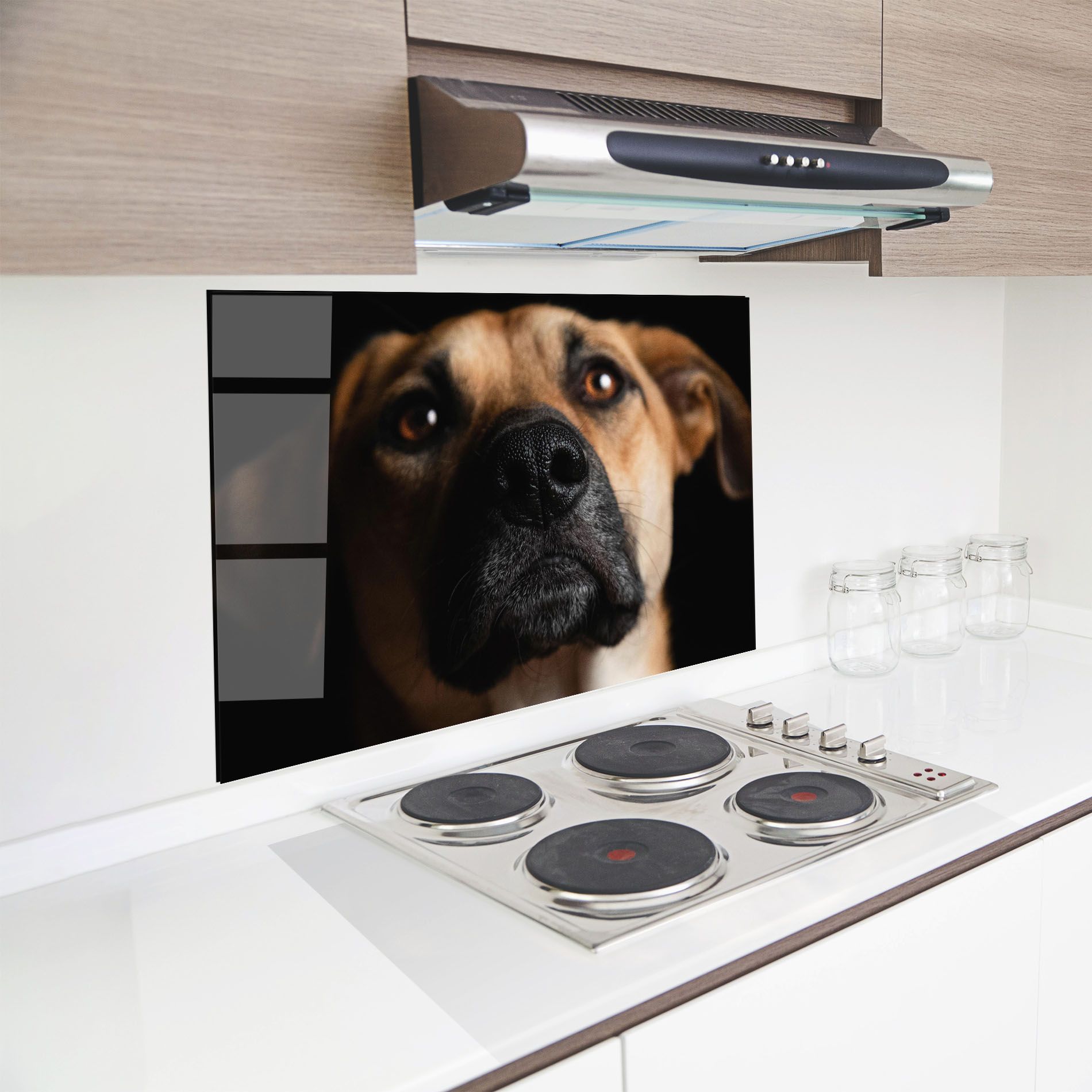 Black Nose Dog mockup 8