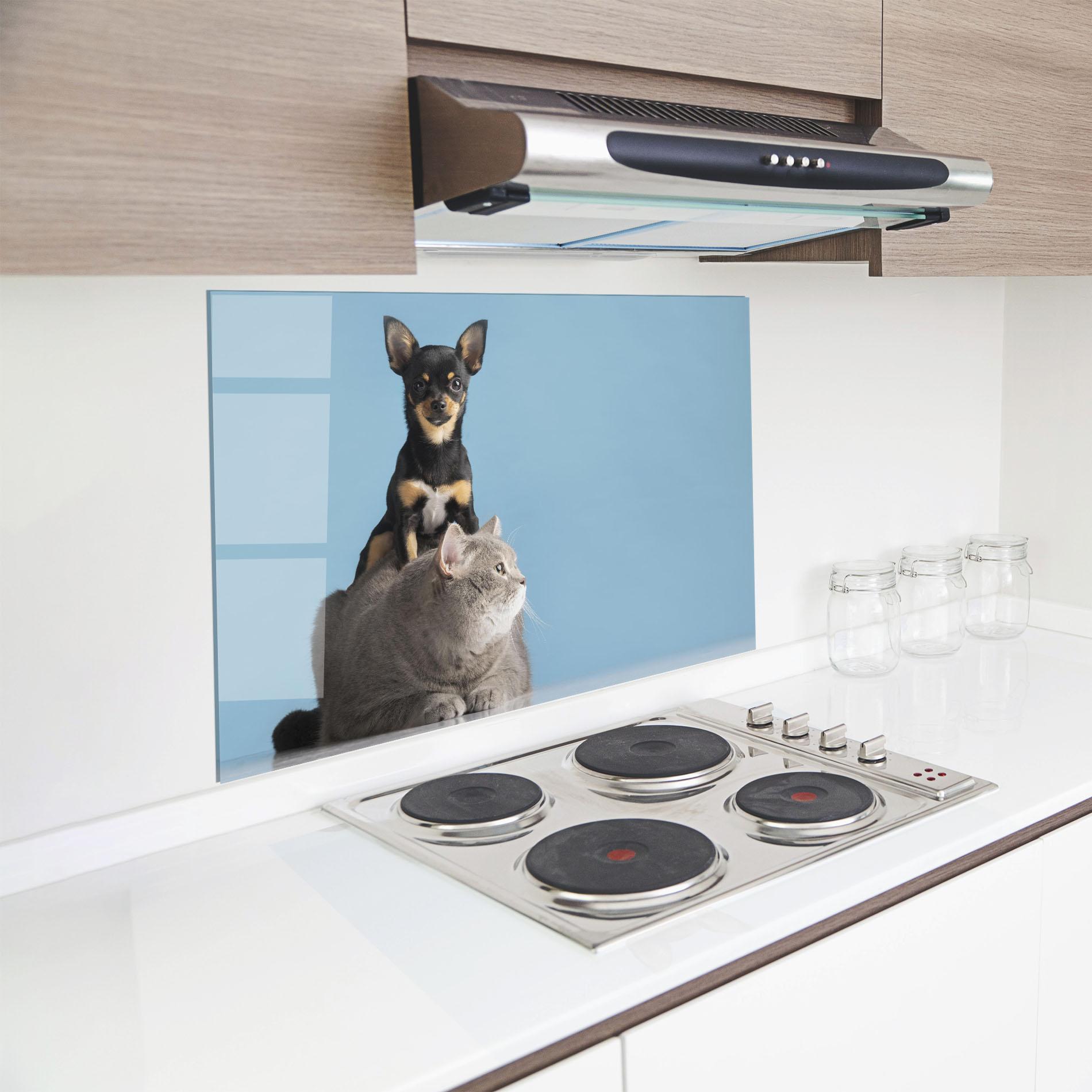 Konyhai üveg hátfal Dog Grey Cat mockup 8