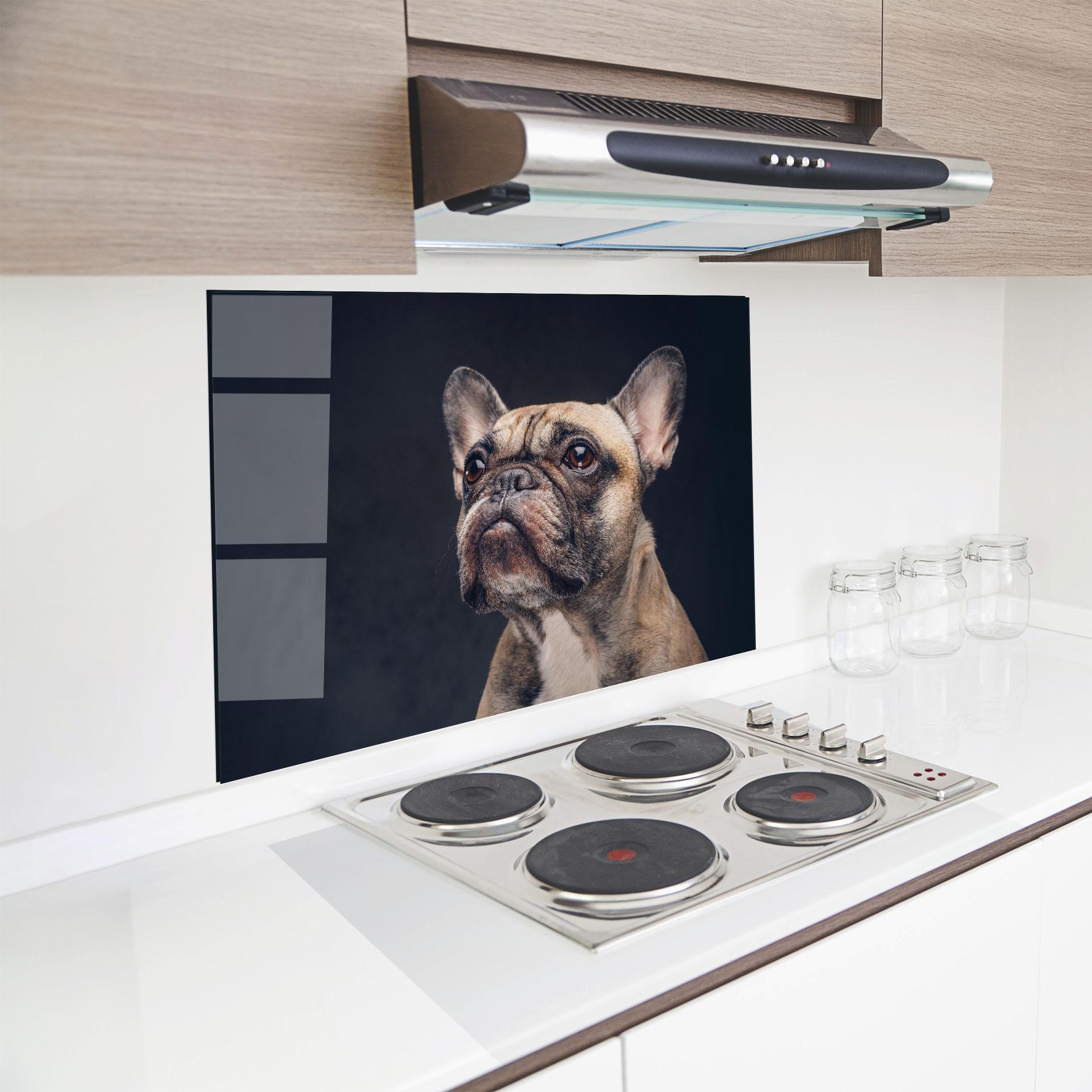 Konyhai üveg hátfal Dog Looking Up mockup 8