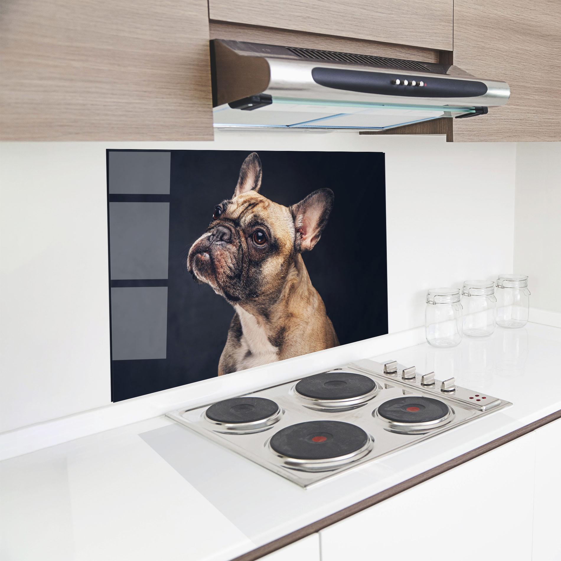 Konyhai üveg hátfal Funny Face Dog mockup 8