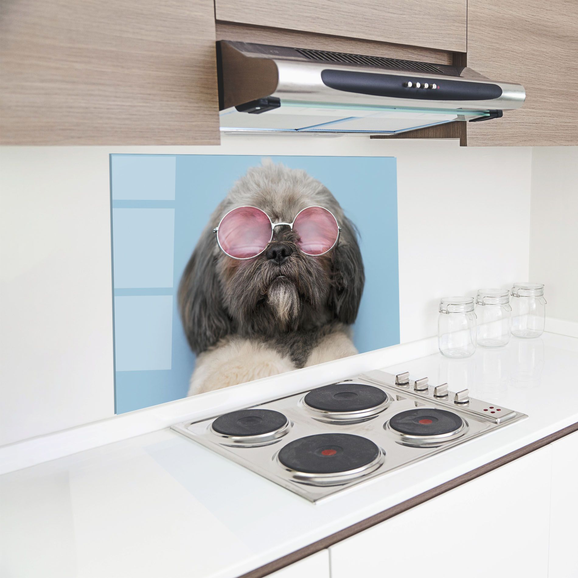 Grey Dog On Blue mockup 8