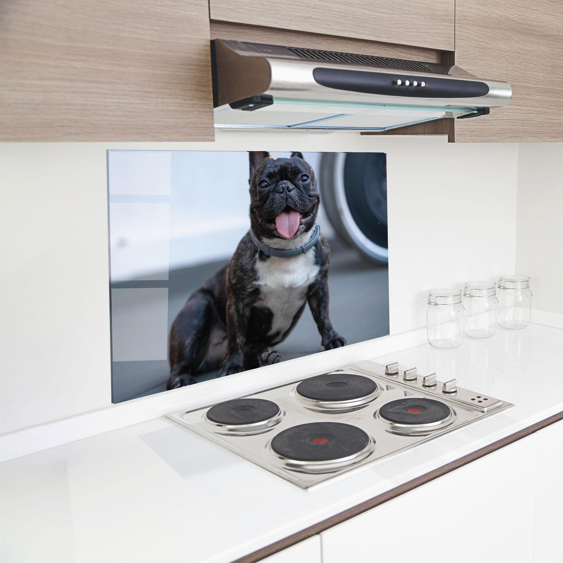 Konyhai üveg hátfal Happy Black Dog mockup 8