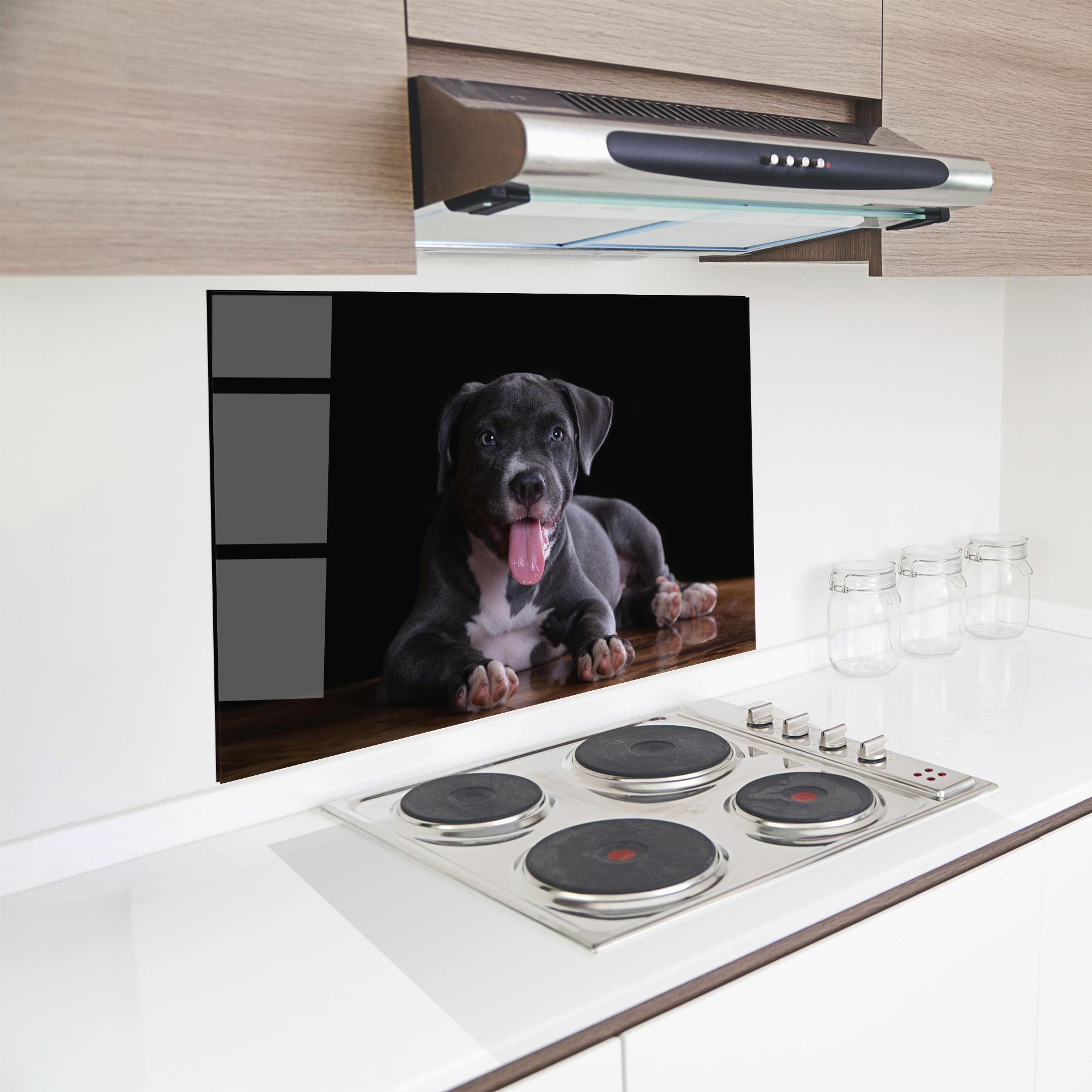 Konyhai üveg hátfal Terrier Puppy mockup 8